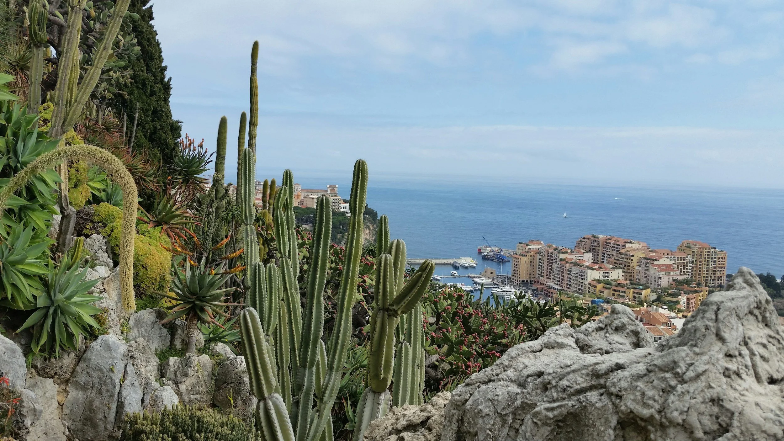 Jardin Exotique de Monaco Reopens in March 2026 – A Landmark Return Above the Principality