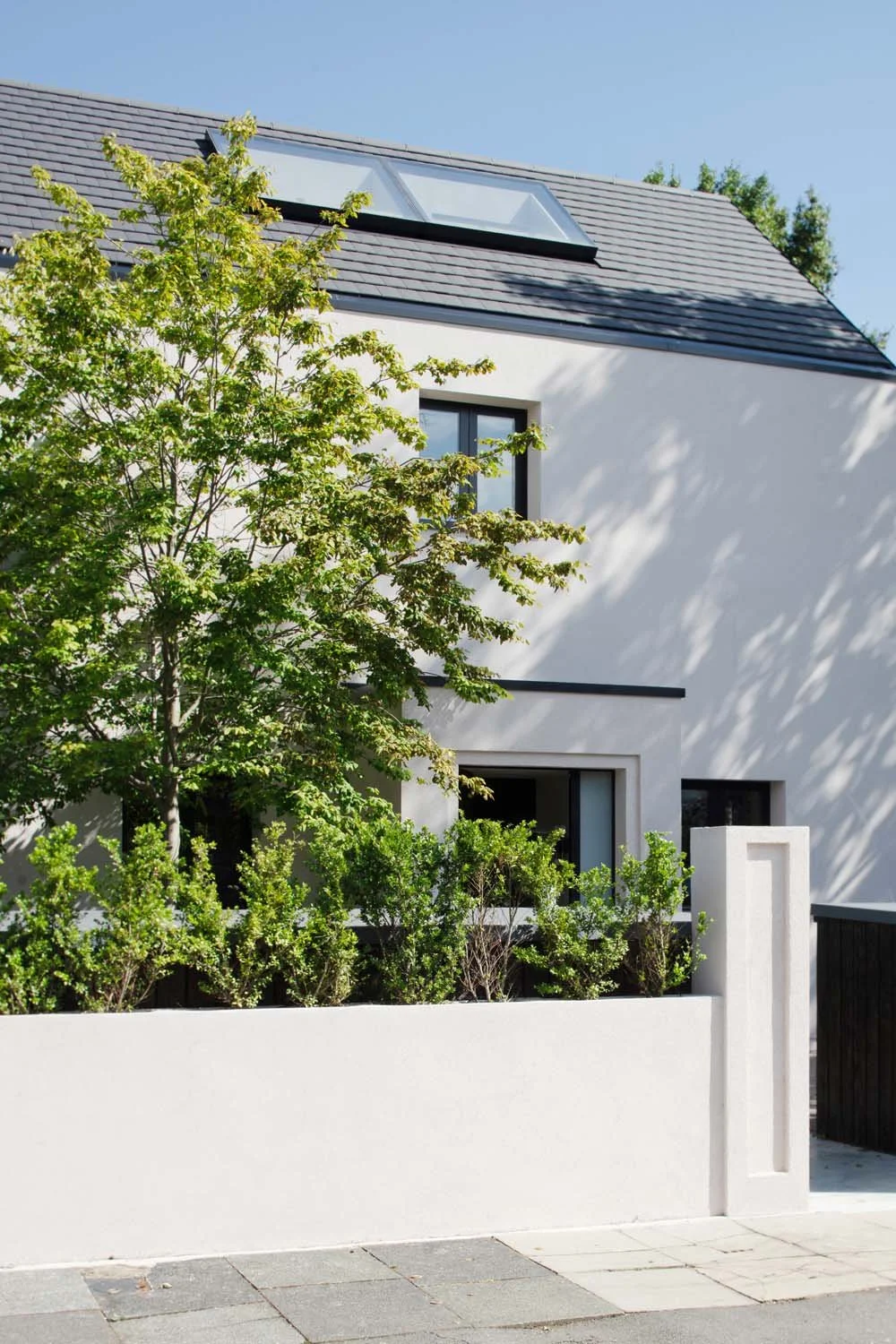 Contemporary residence with skylights, lush greenery, and modern architectural detailing