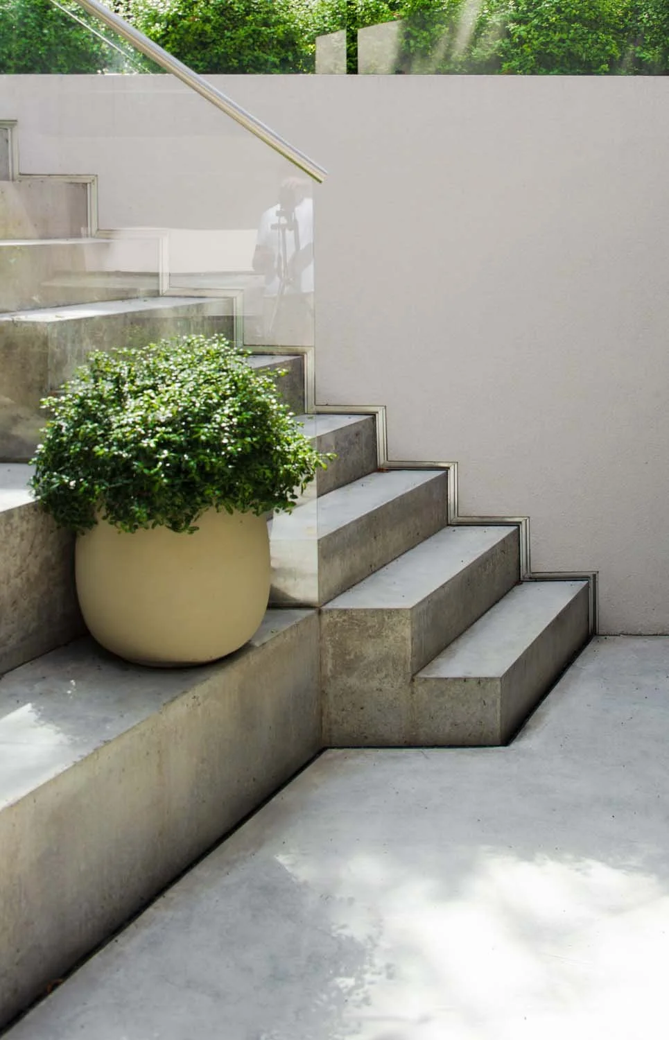 Stylish concrete steps with a minimalist planter, highlighting luxury garden design in a contemporary setting