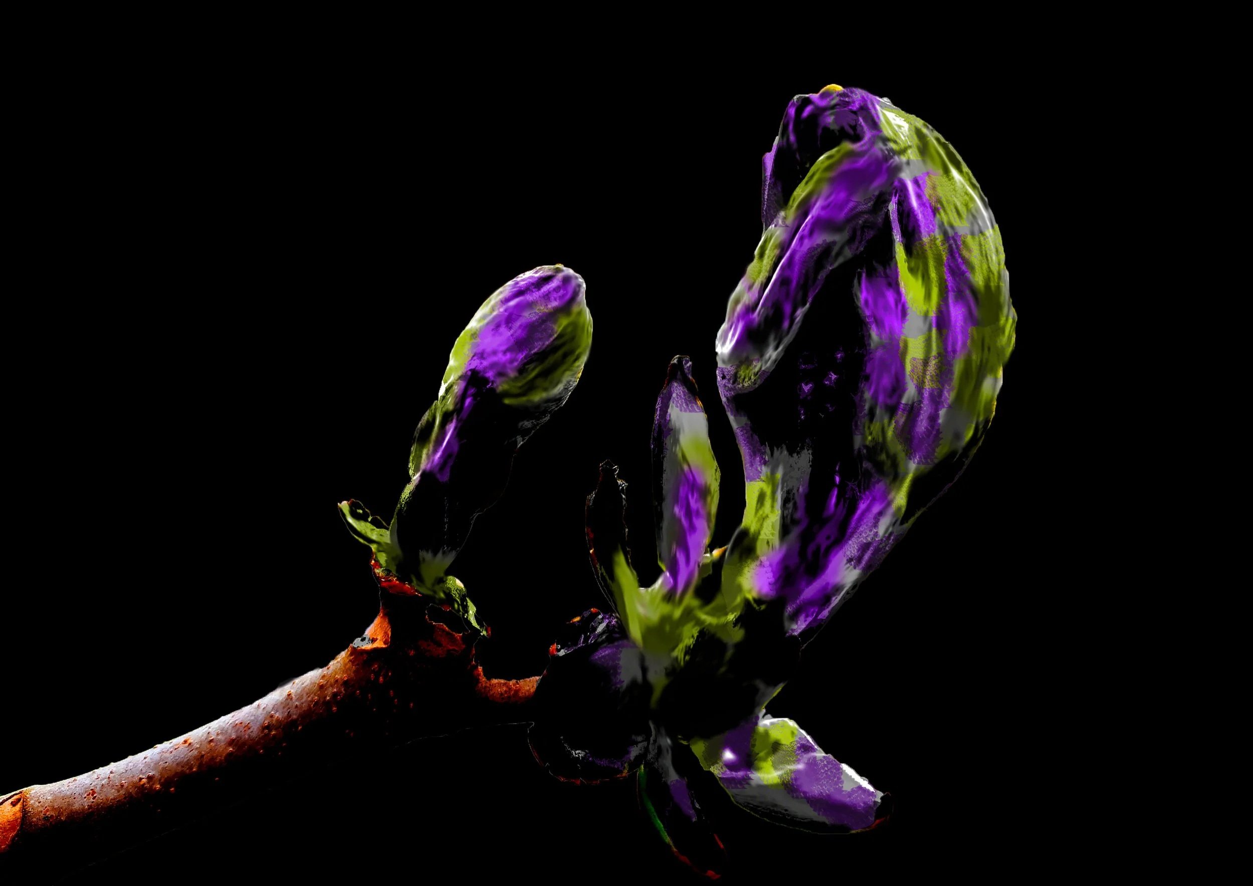 Digitaal Beeldatelier