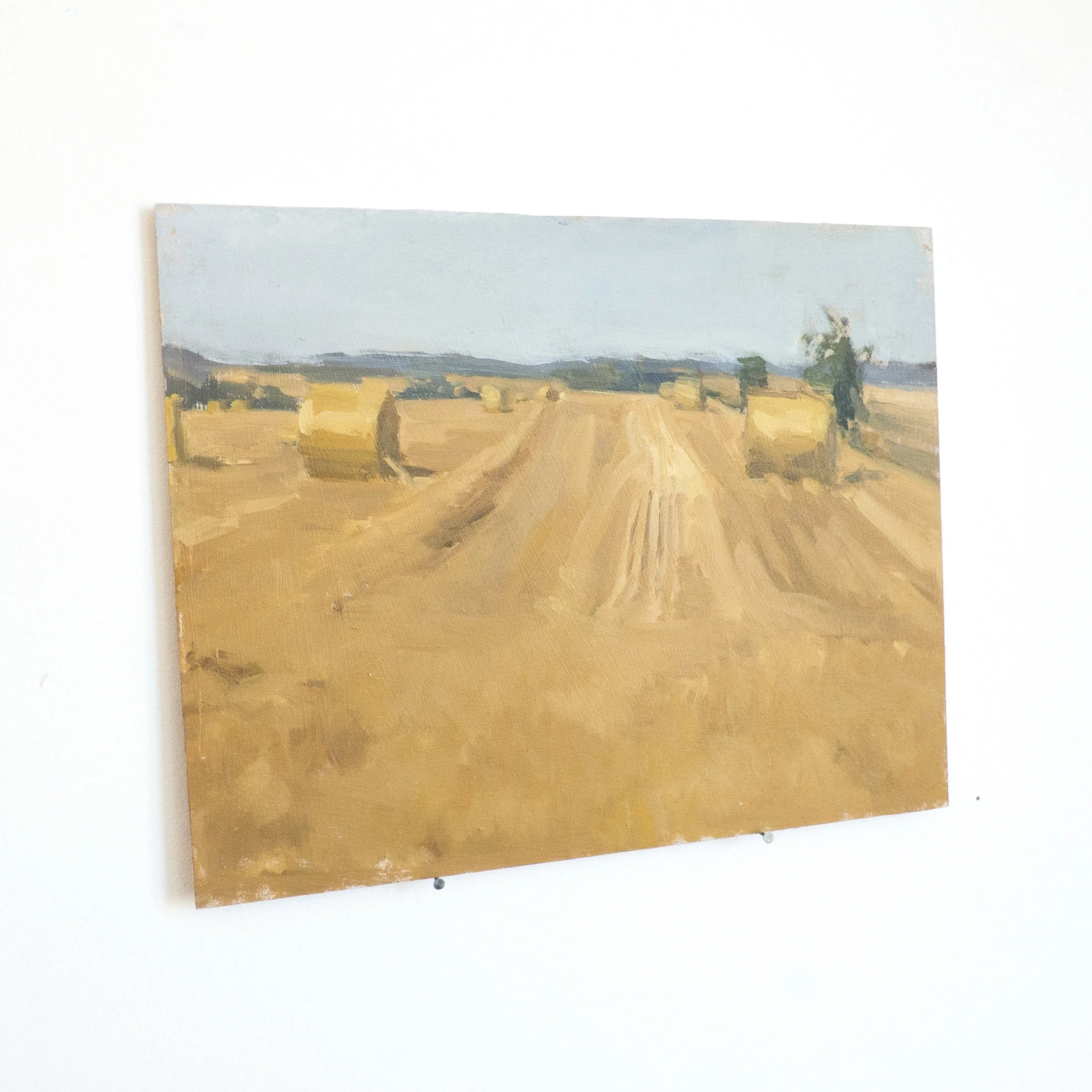 The fields after the harvest