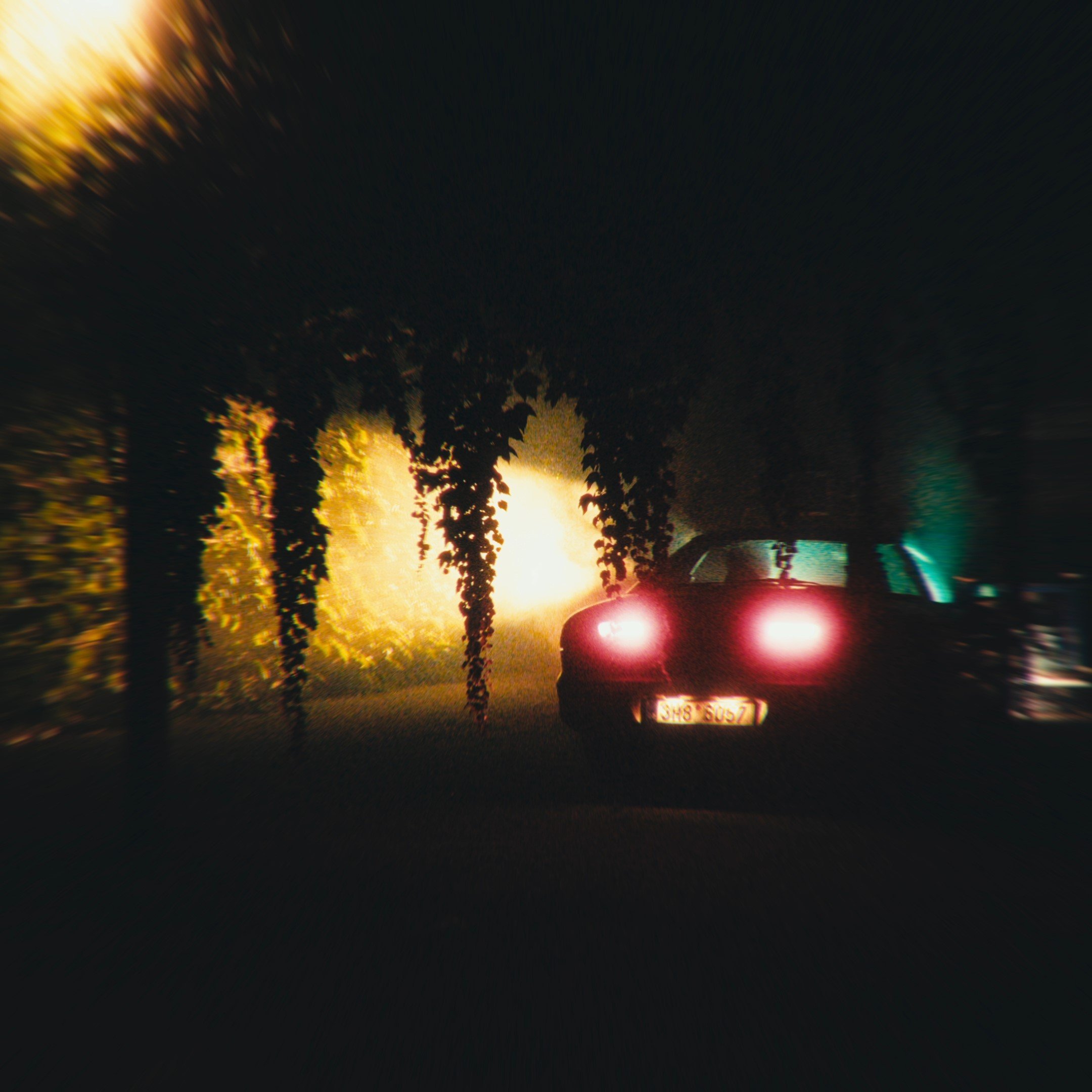 themoonsdearest_R2_FINAL-00.00.16.896.jpeg