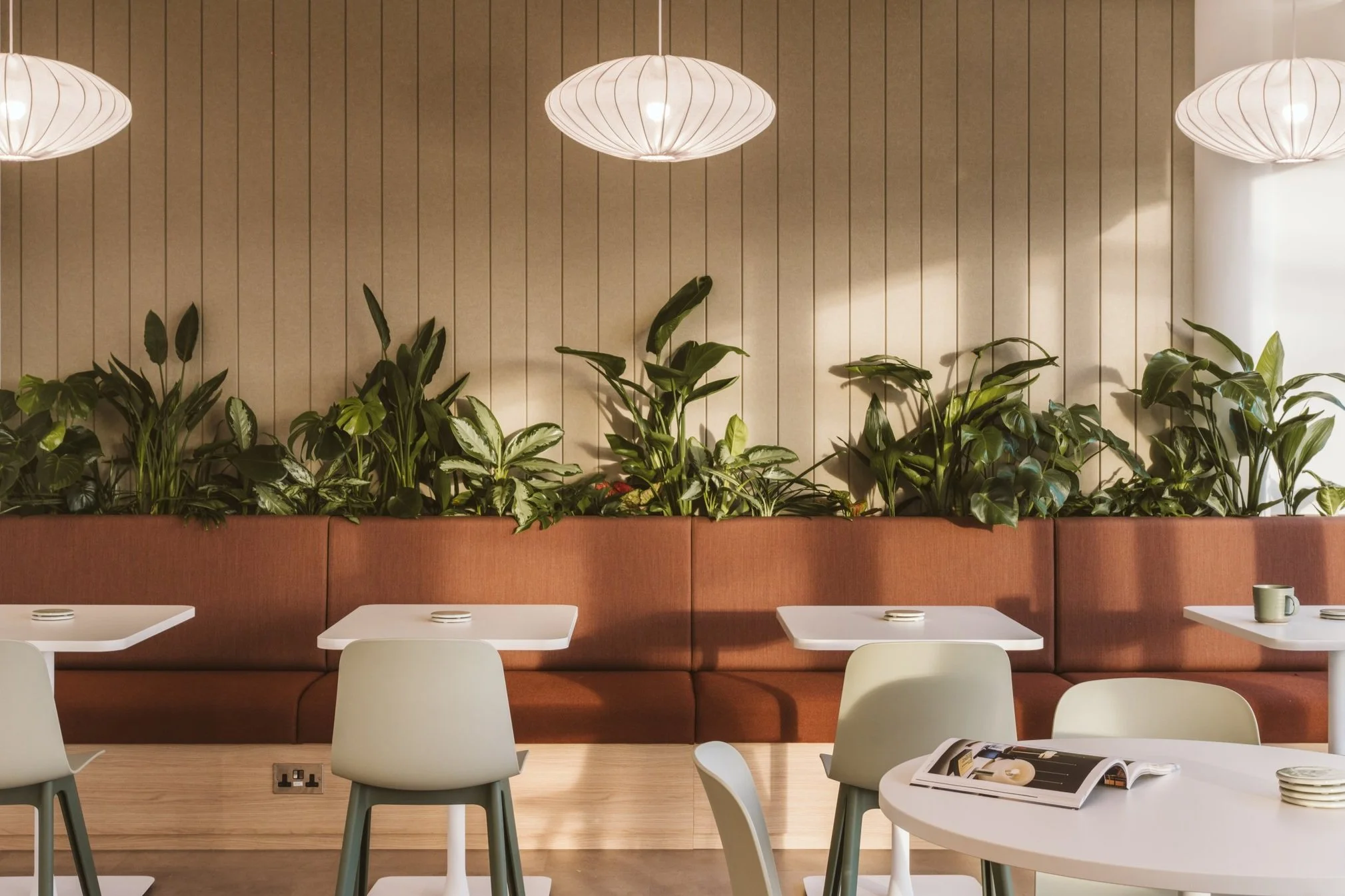 Dthree Studio | Explore Workplace Solutions Today