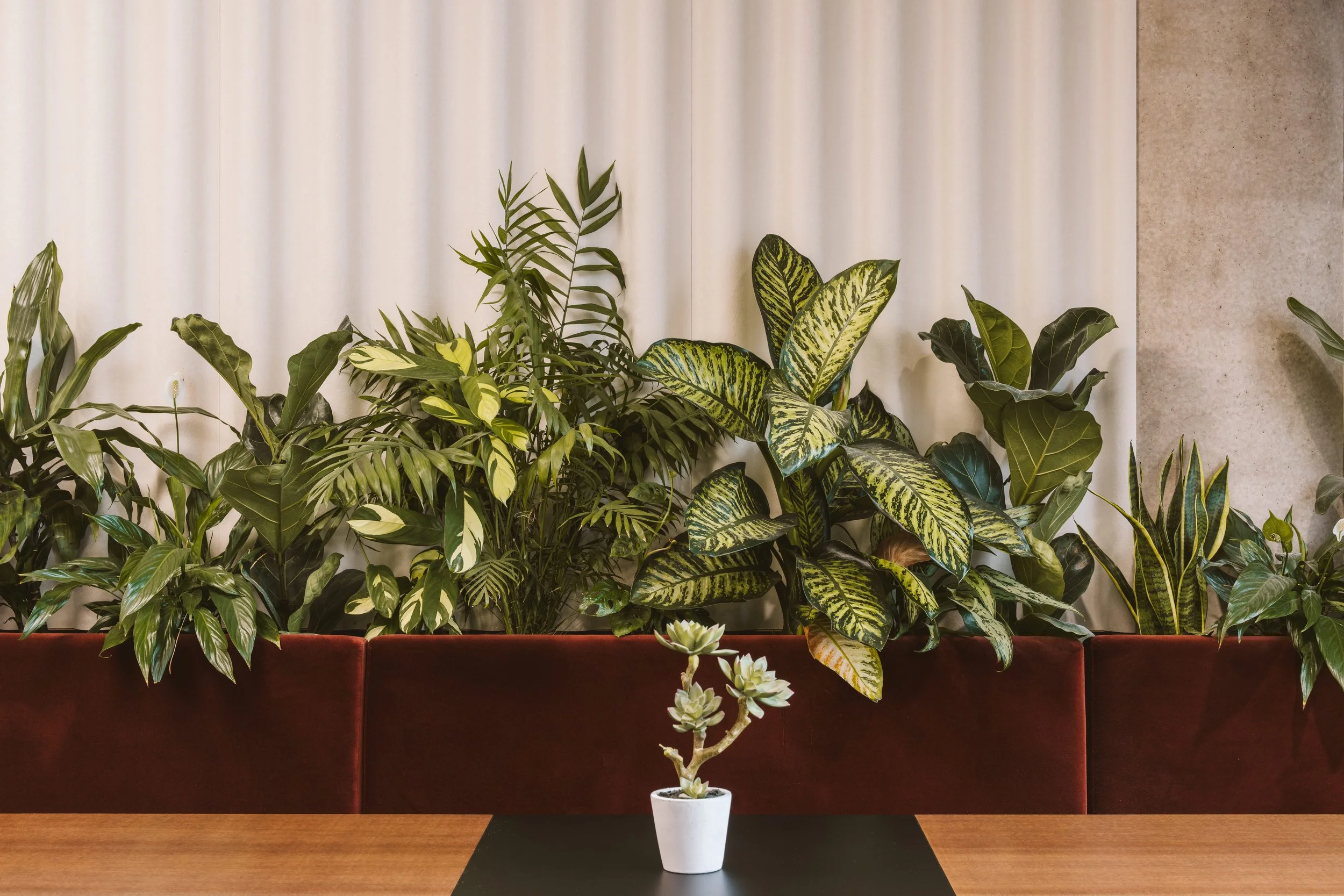 250730 Mustard Systems-15.JPG