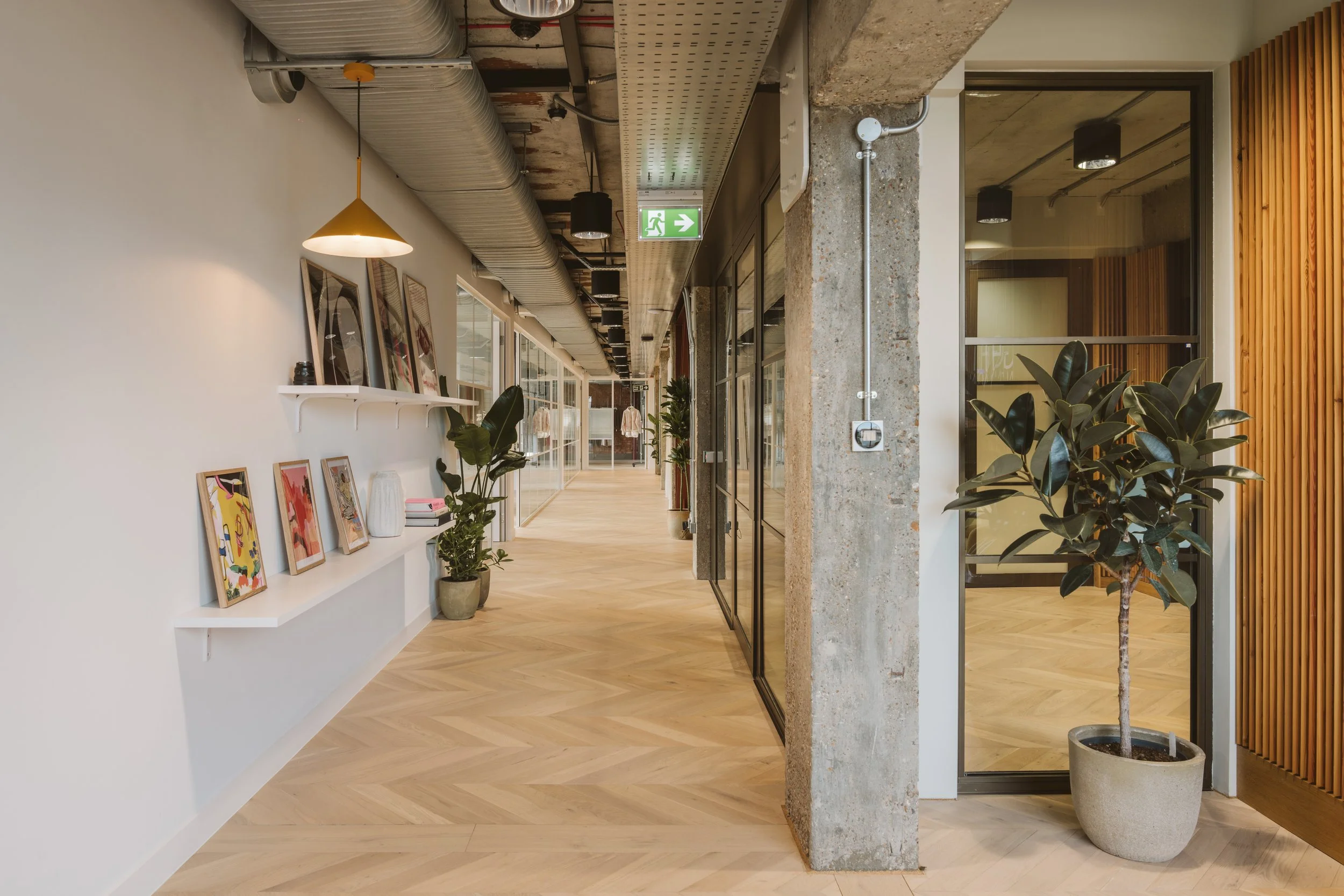 241111 Starlight-22.JPG