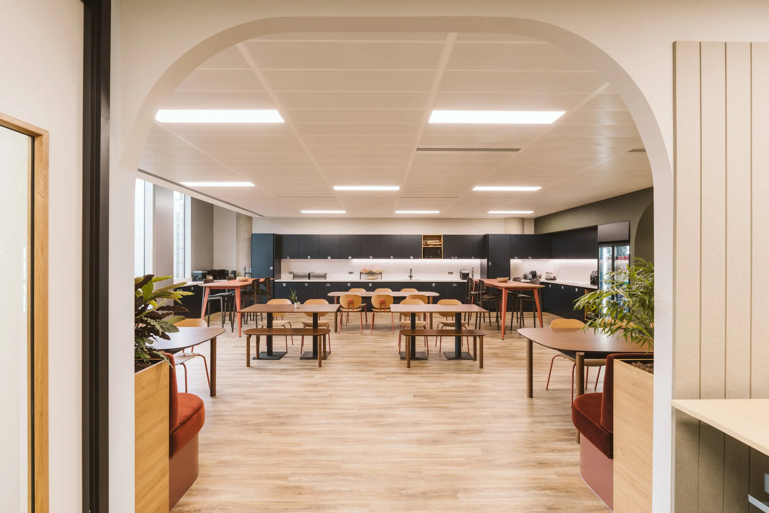 250730 Mustard Systems-9.JPG