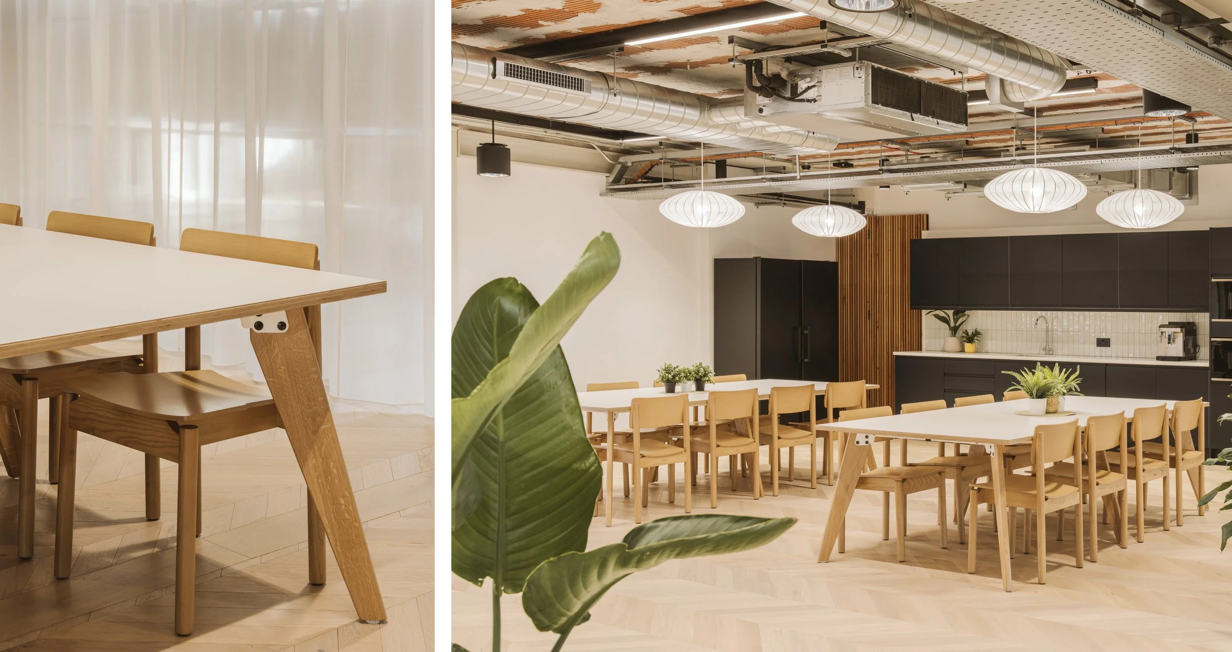 Dthree_Case Study_CLA (28) copy.jpg