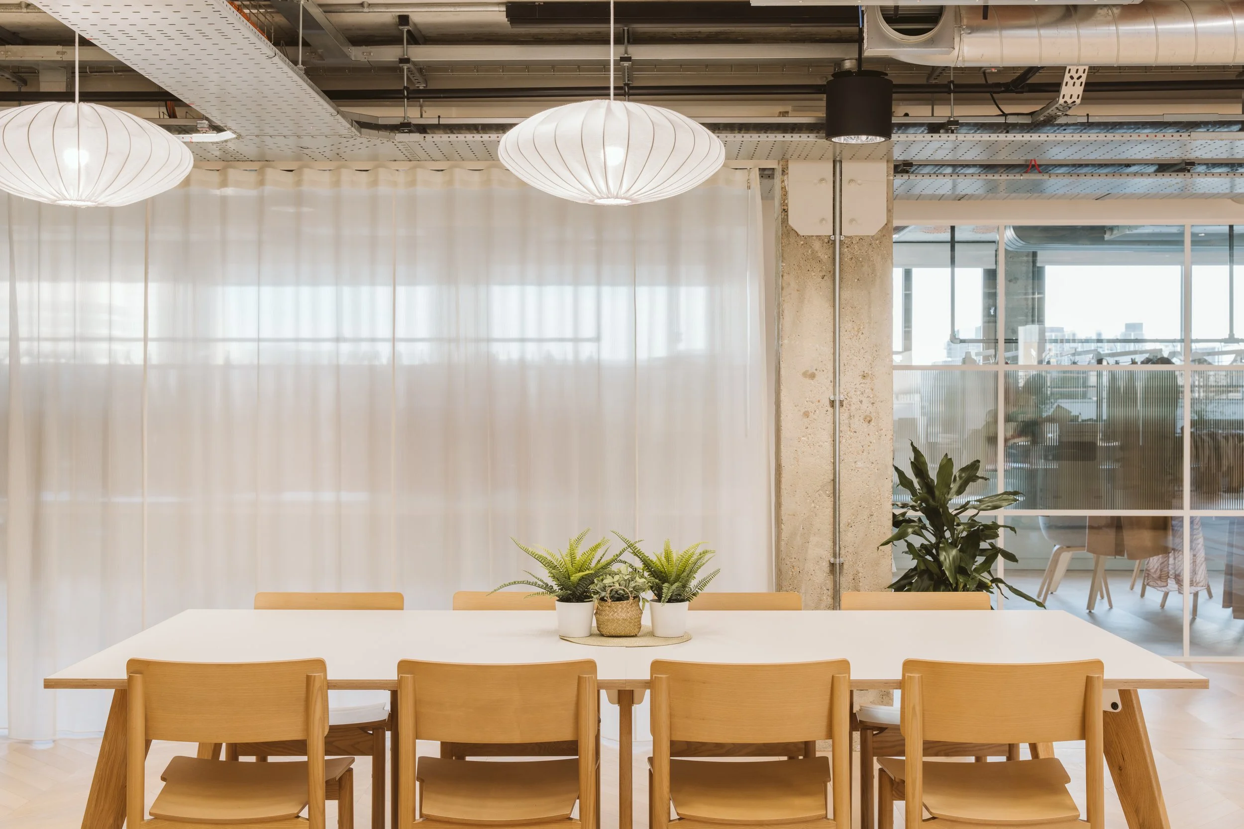 241111 Starlight-81.JPG