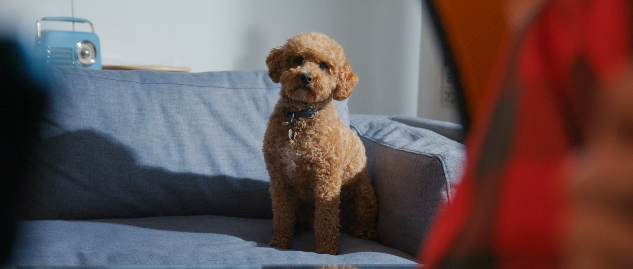 WhatDrivesYou_FINALStills_23.png