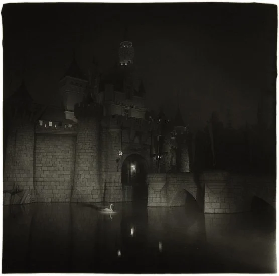 Dianne Arbus The Swan and The Spectre.jpg