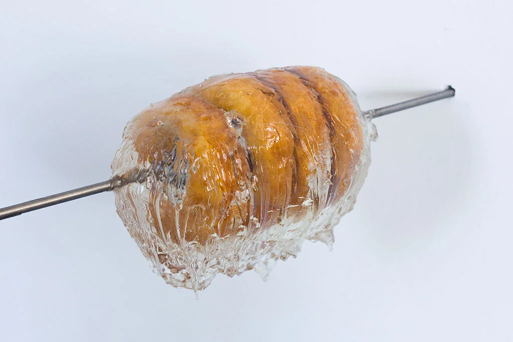 Richard Evans d0ughnuts (detail) 2015 artist sculpture