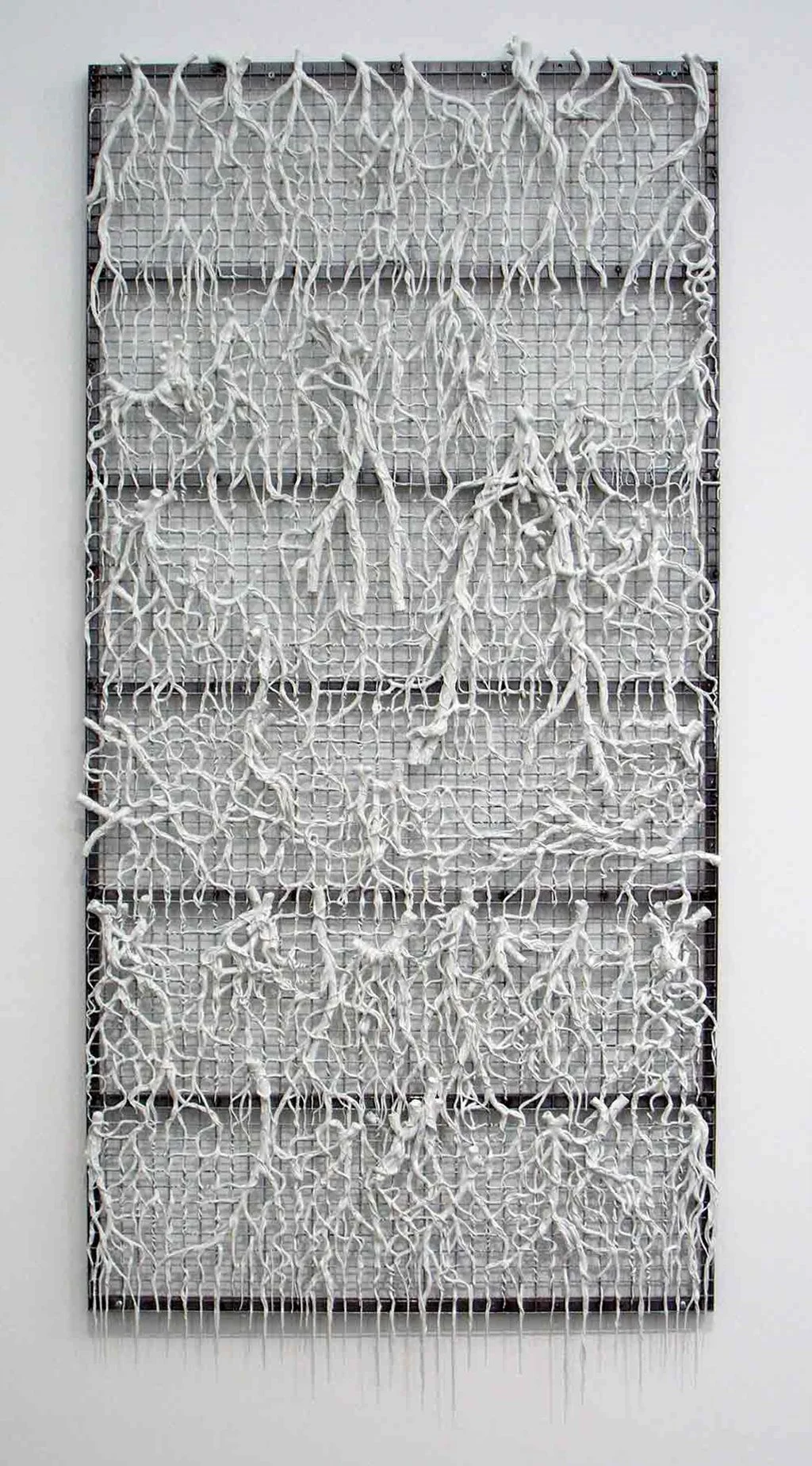 031Veinsweb copy.jpg