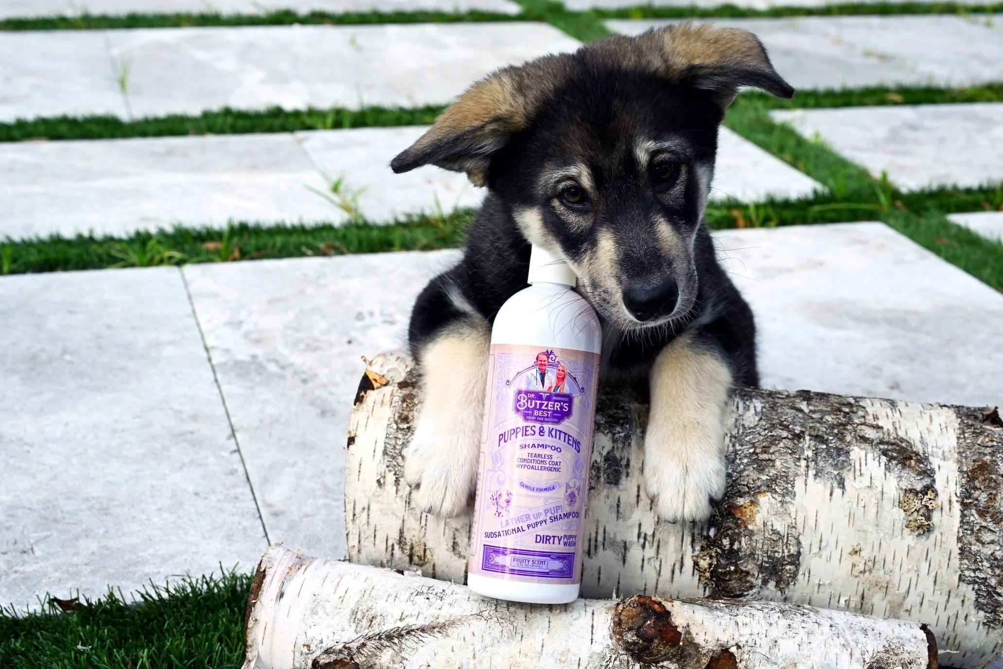 Dr. Butzer's Best-25.jpeg