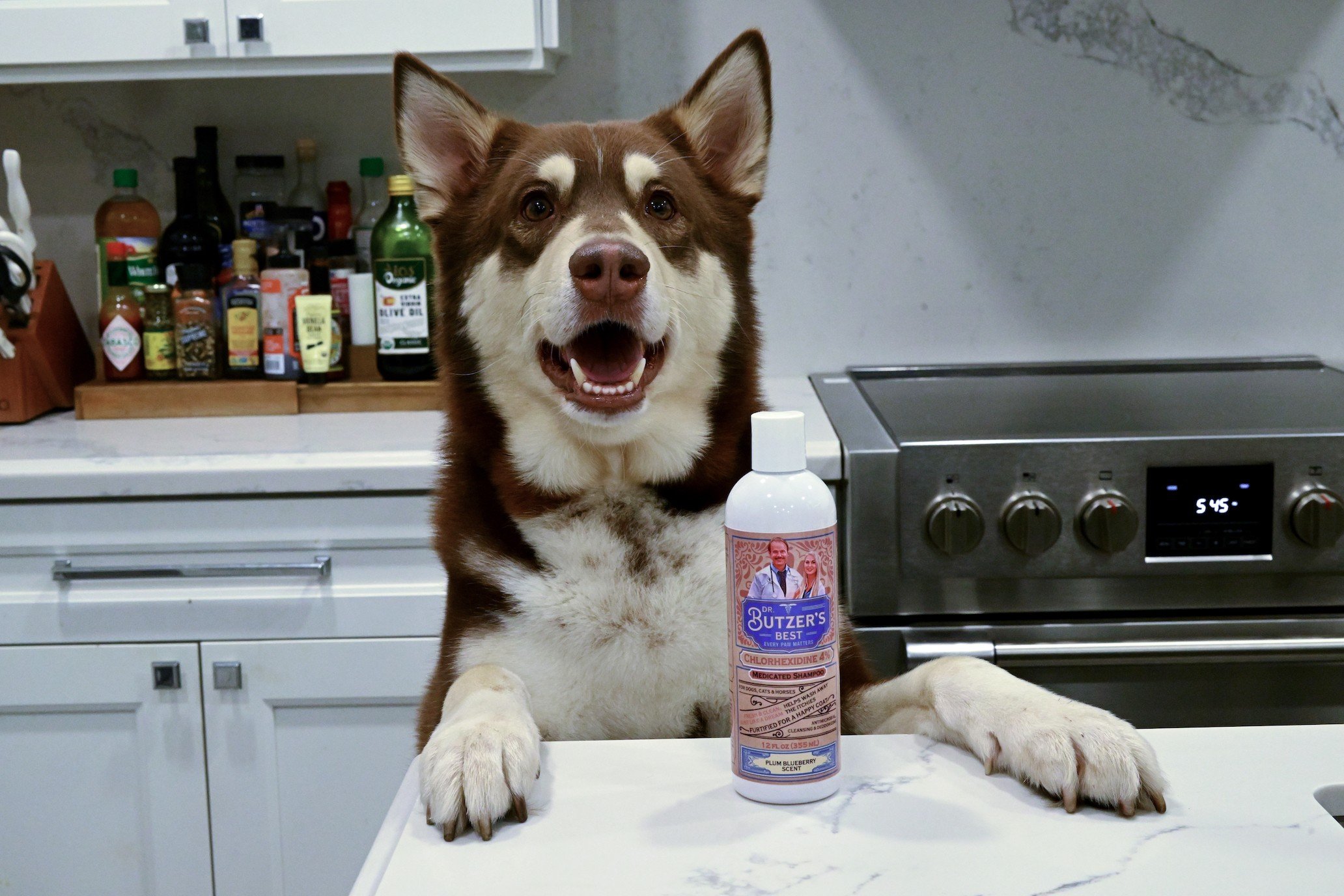 Dr. Butzer's Best-30.jpeg