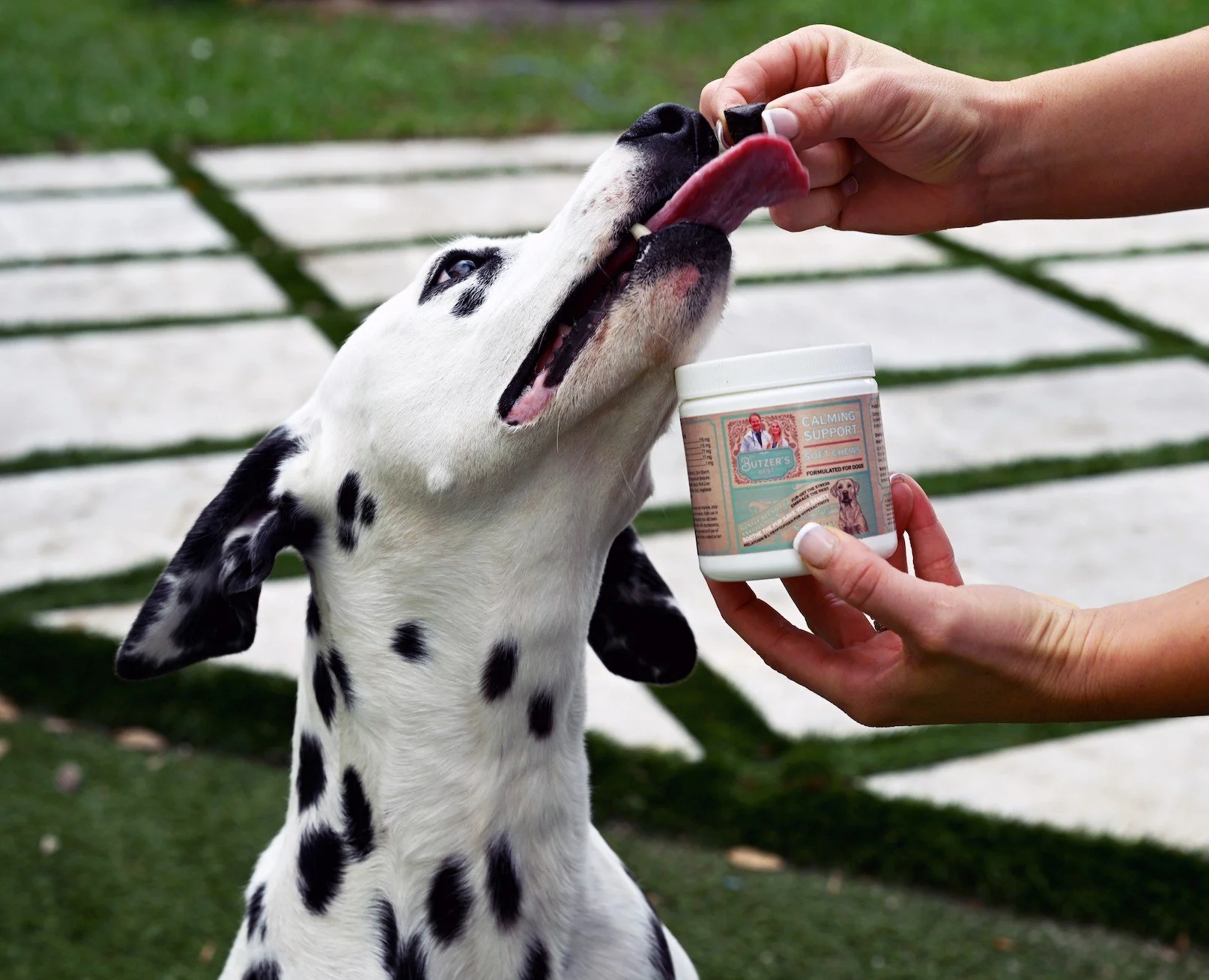 Dr. Butzer's Best-15.jpeg