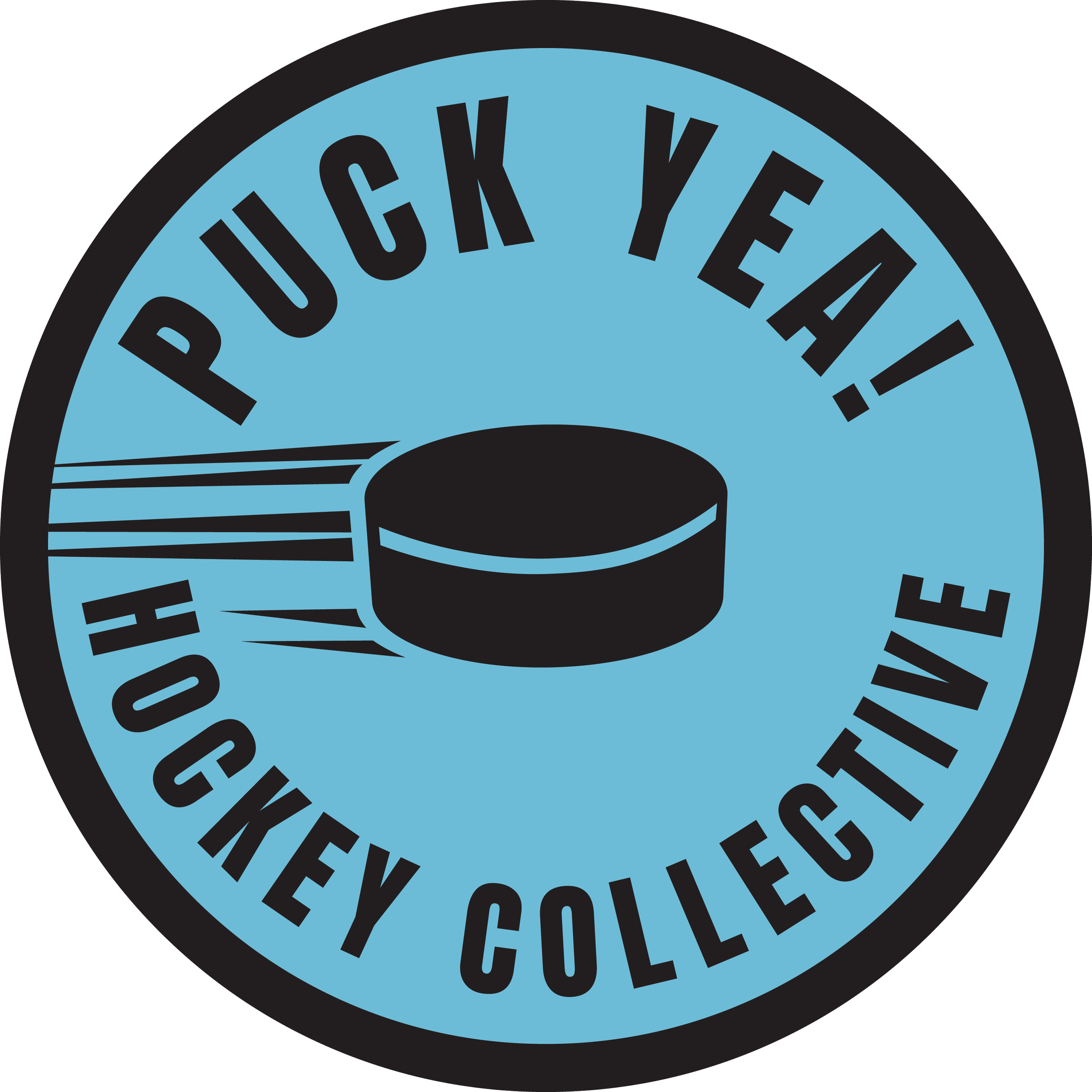 Puck Circle PNG.png