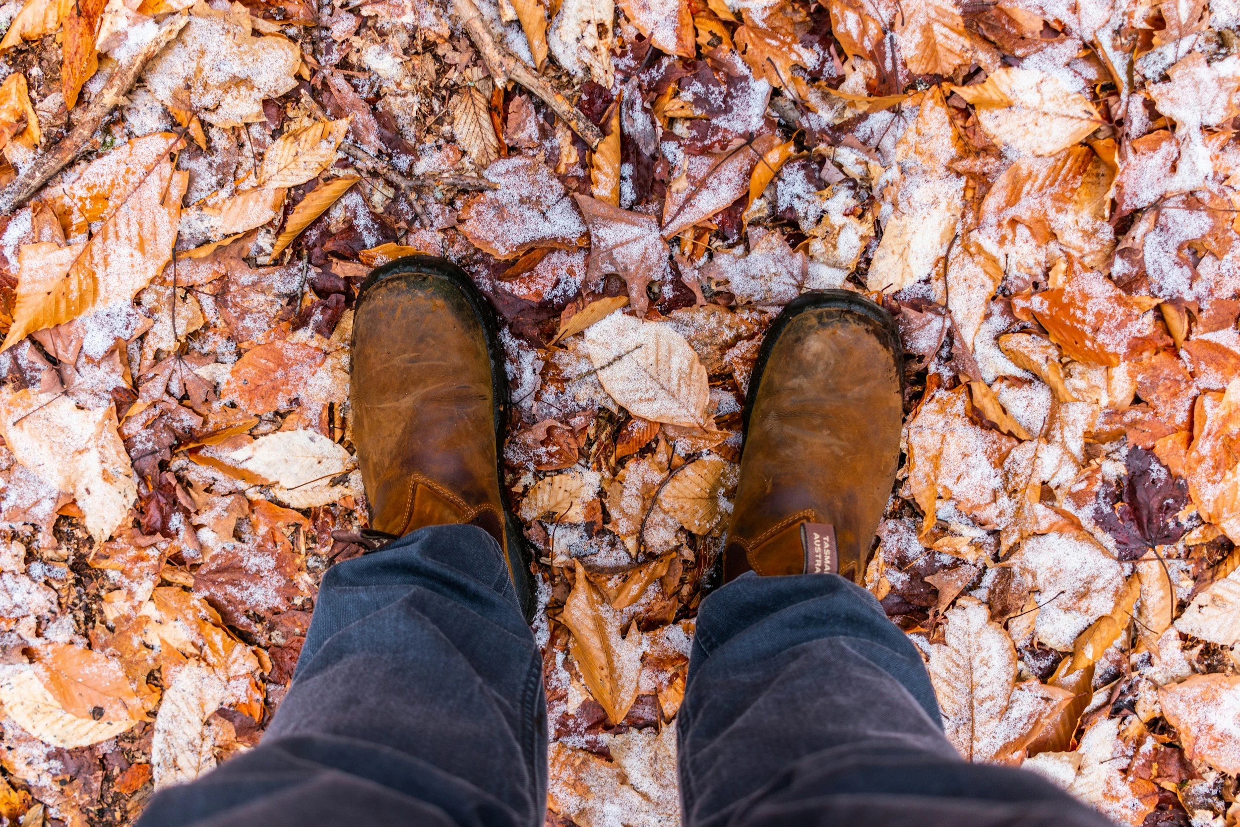 Snow, Salt &amp; Slush: Get Your Floors Ready for a Minnesota Winter