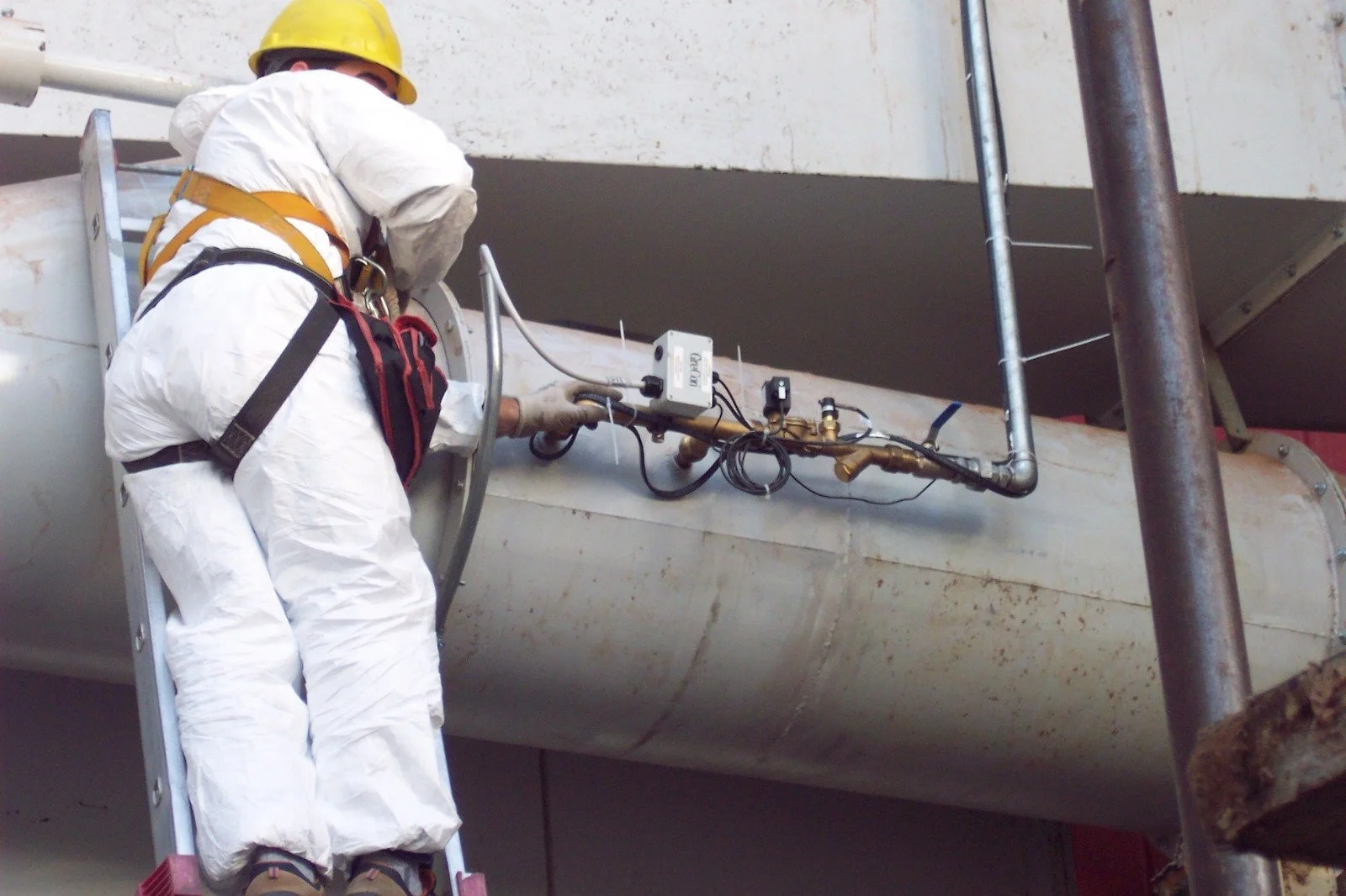 Immagine WhatsApp 2025-01-29 ore 14.50.22_00bb9cc0.jpg