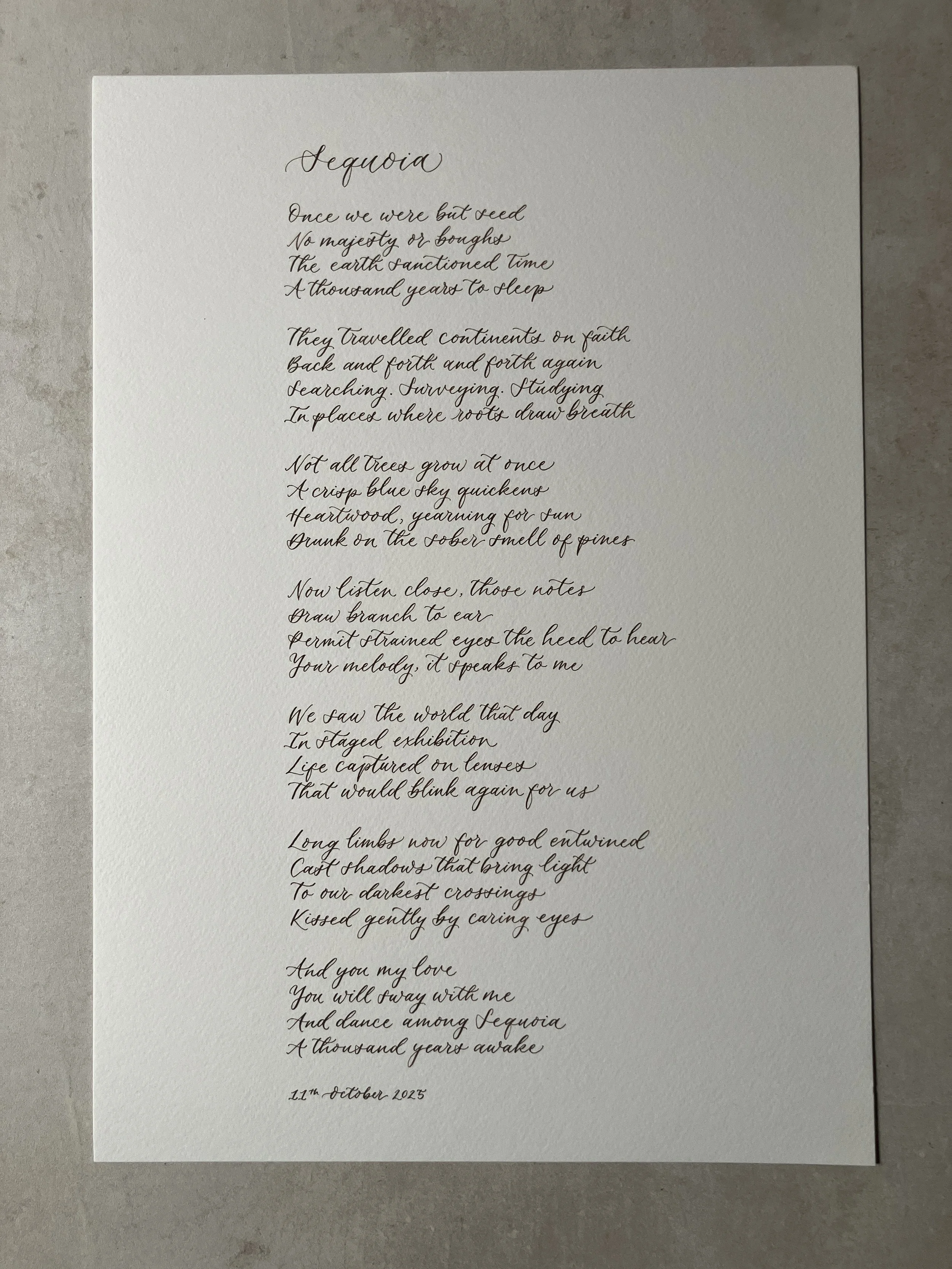 IMG_9800 2.JPG (Copy)