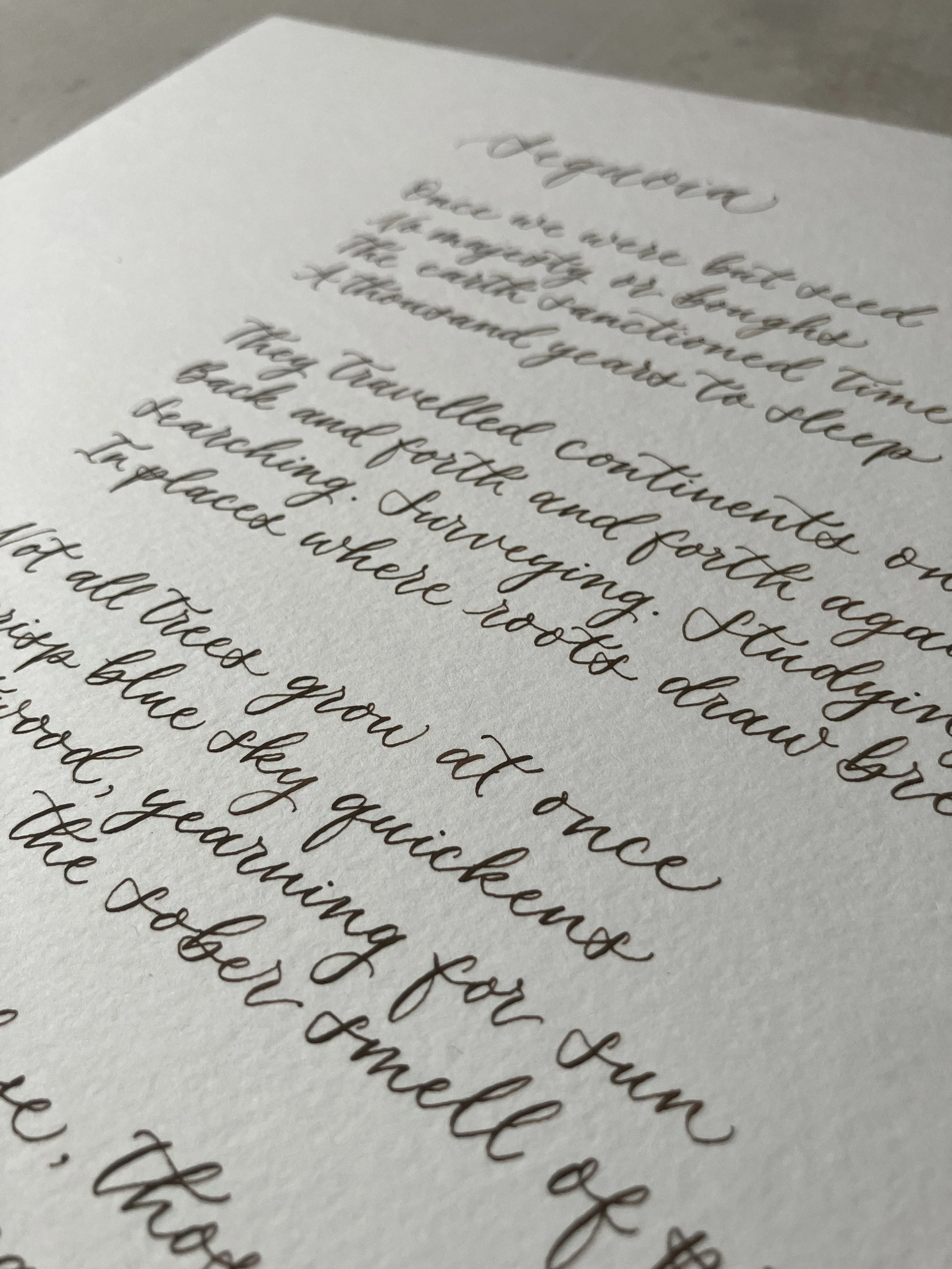 IMG_9813 2.JPG (Copy)