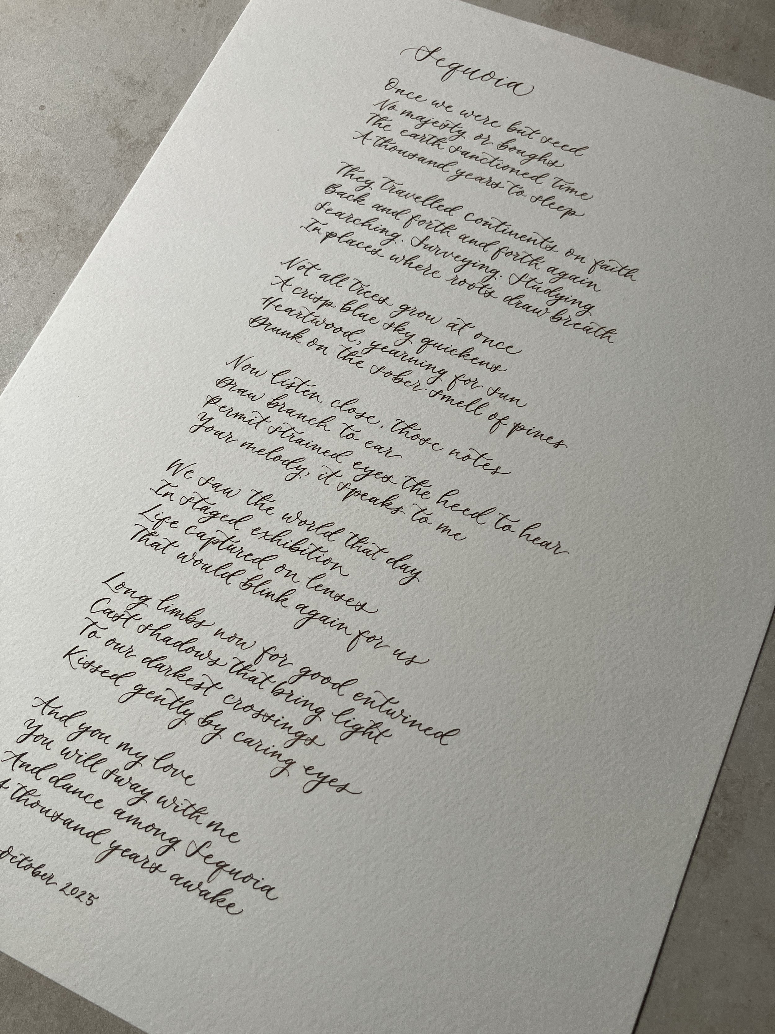 IMG_9801 2.JPG (Copy)