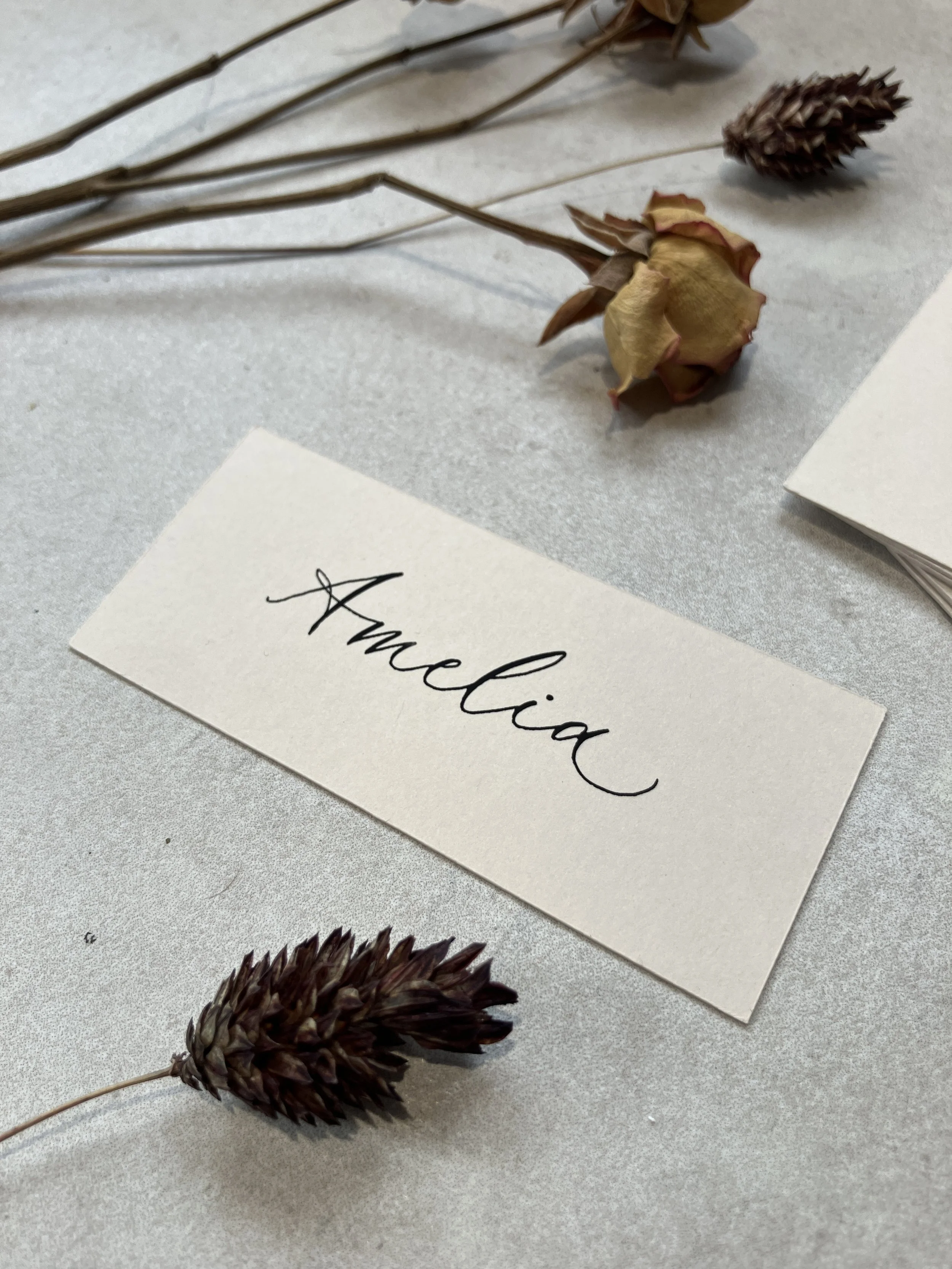 Almond/light beige flat rectangular place cards | wedding, event &  party stationery