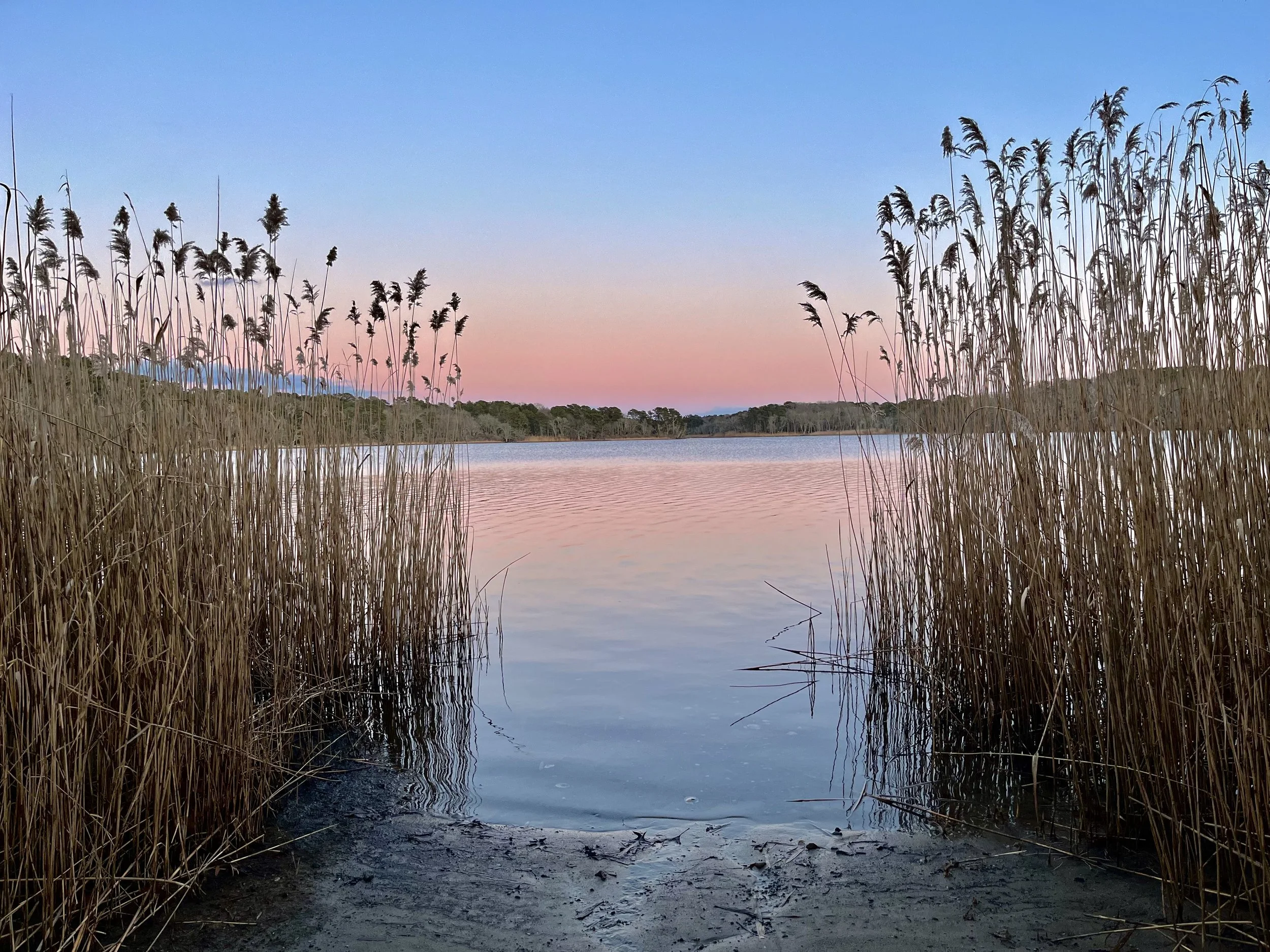 Cape Cod Vacation Rental Management | Tuxfin Hospitality Property - Dog-Friendly Yarmouth Home for Short Term Bookings - Save Money over Airbnb & VRBO - Homeowners Rent Second Homes for Extra Income.