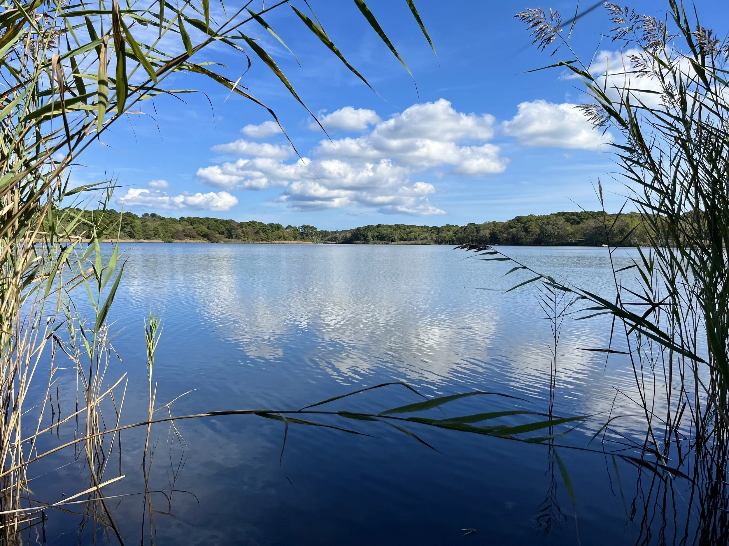 Cape Cod Vacation Rental Management | Tuxfin Hospitality Property - Dog-Friendly Yarmouth Home for Short Term Bookings - Save Money over Airbnb & VRBO - Homeowners Rent Second Homes for Extra Income. Mill Pond