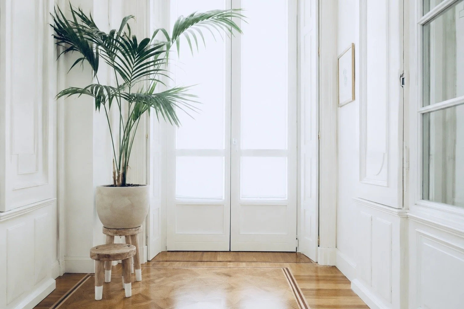 interior, all-white hallway facing two doors with glass windows. green potted plant on stool