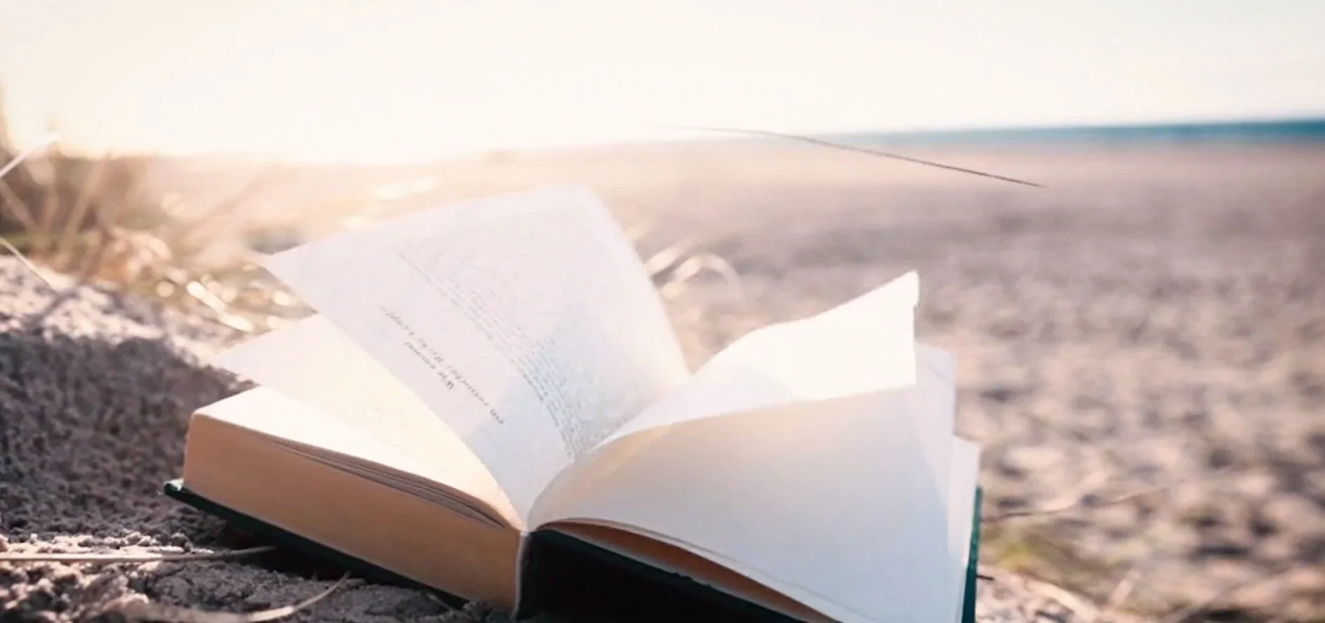 open book pages blowing in wind on the beach.jpg