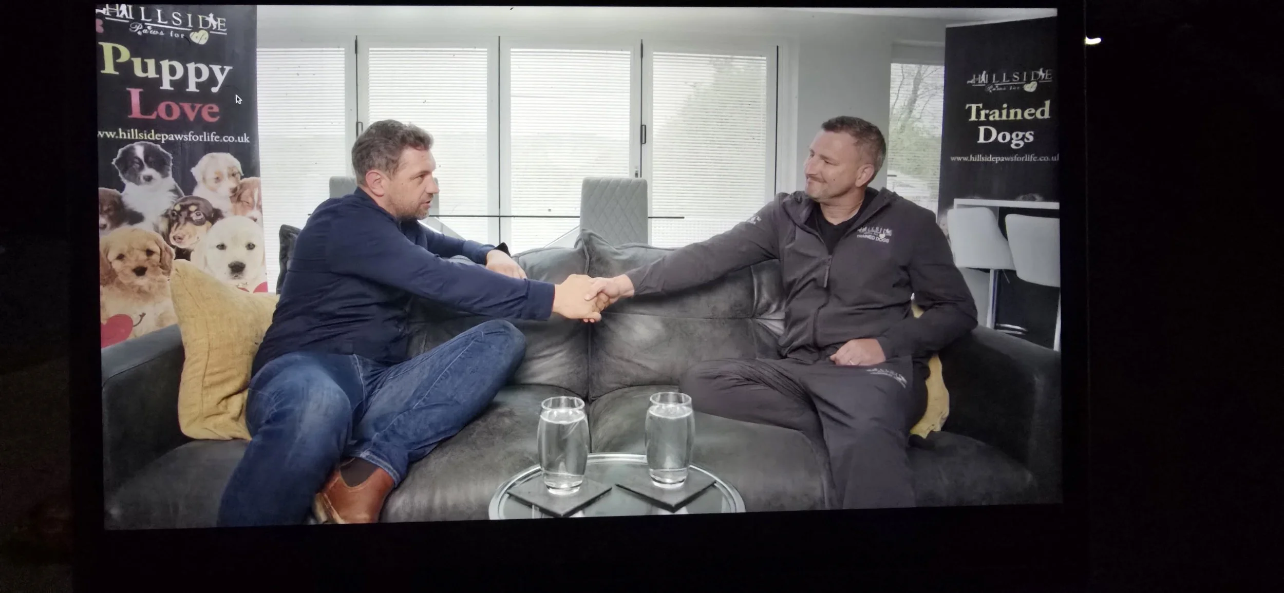 Two men sit on a dark gray couch in a modern room with large windows and blinds, shaking hands. One man wears a navy shirt and jeans, and the other wears a black jacket with a logo and black pants. There are two glasses of water on a small table in front of them. Banner on the left side advertises Hillside Paws for Life, featuring images of various puppies and the words 'Puppy Love'. Banner on the right advertises trained dogs, with the Hillside logo. A yellow pillow is on the left side of the couch.