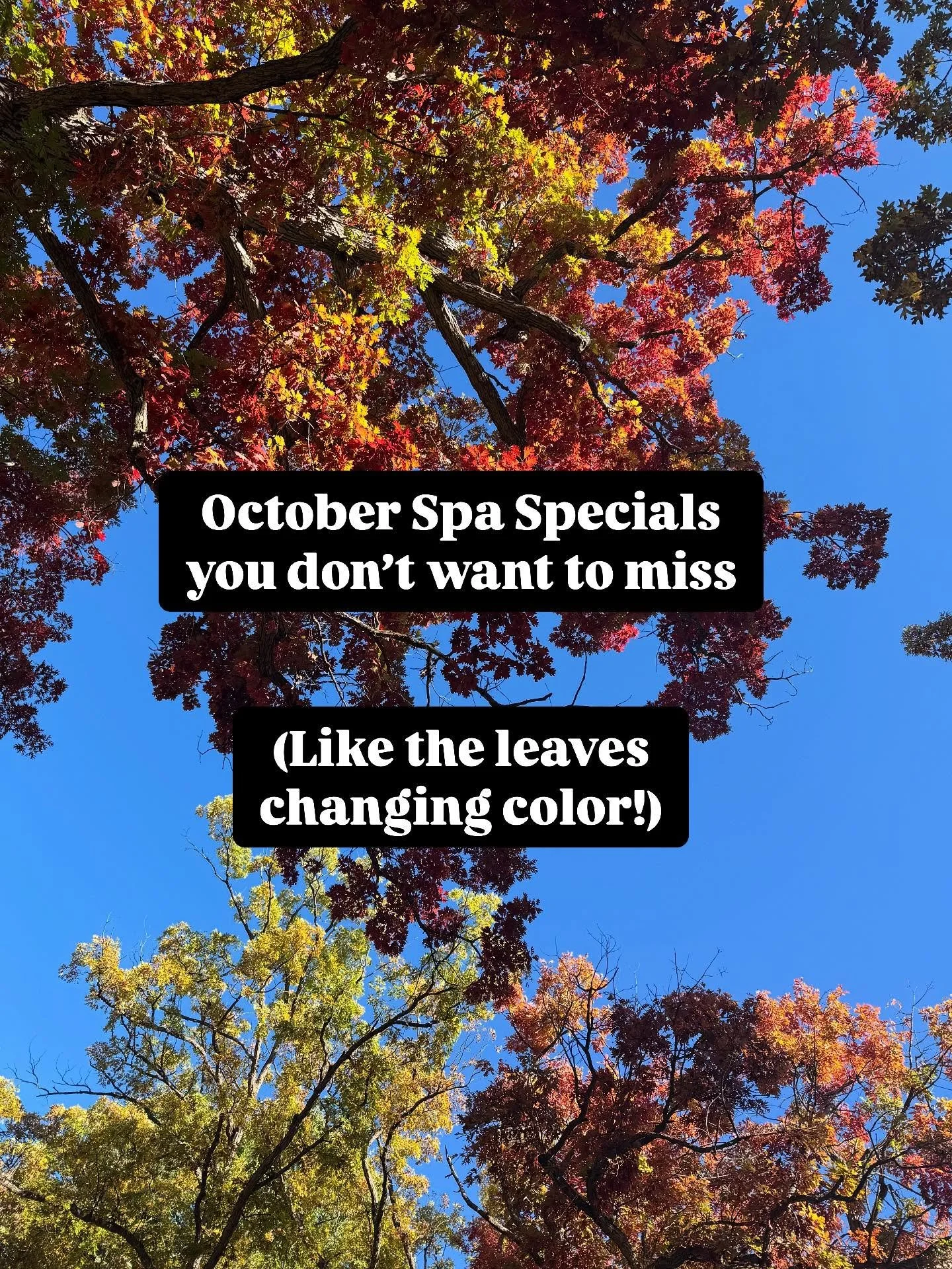 This warm weather brings the colors late - but how glorious they are!
It’s not too late for you to end October in the glory of wellness. 
Here’s what we have for you - to renew body and mind post summer, prepare for Winter, and enjoy co