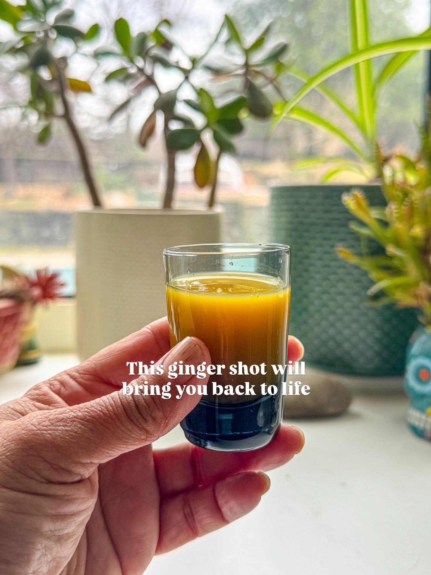 My husband has been paying good money for ginger shots. In my typical fashion (like my Indian mom!) I told him I&rsquo;ll make it at home. 

Because our whole house needs to come back to life. This Kapha season a drag. 

If you feel like you need to 