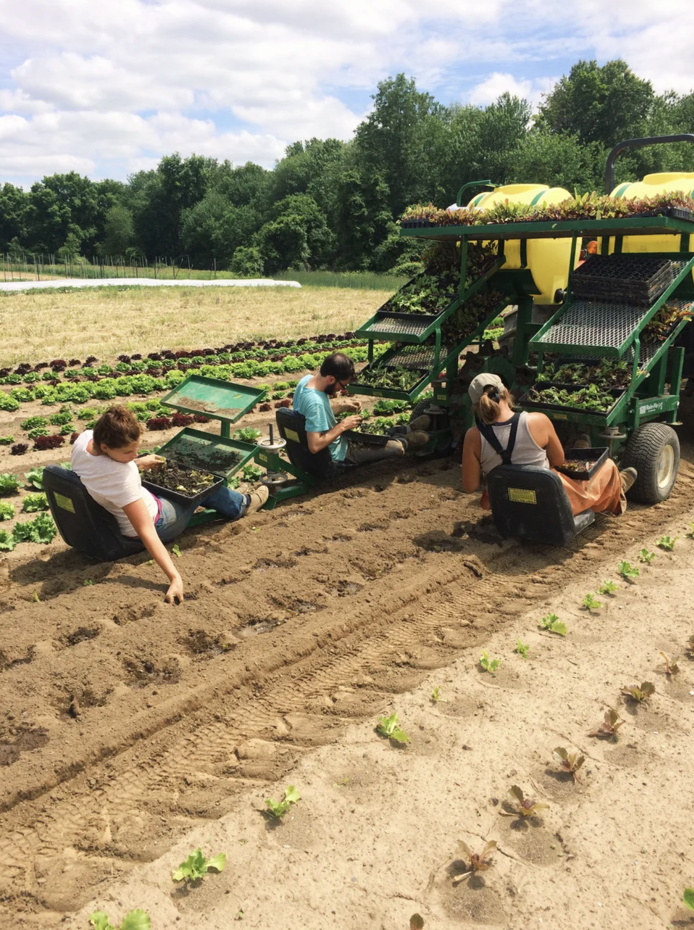The Poughkeepsie Farm Project