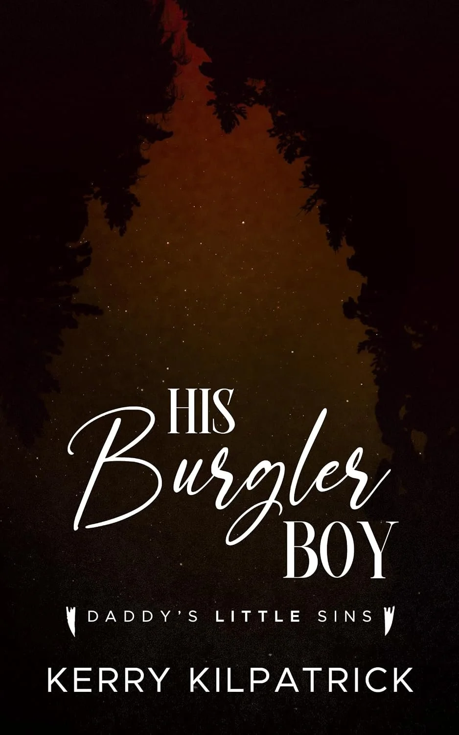 burgler boy preorder cover.jpg