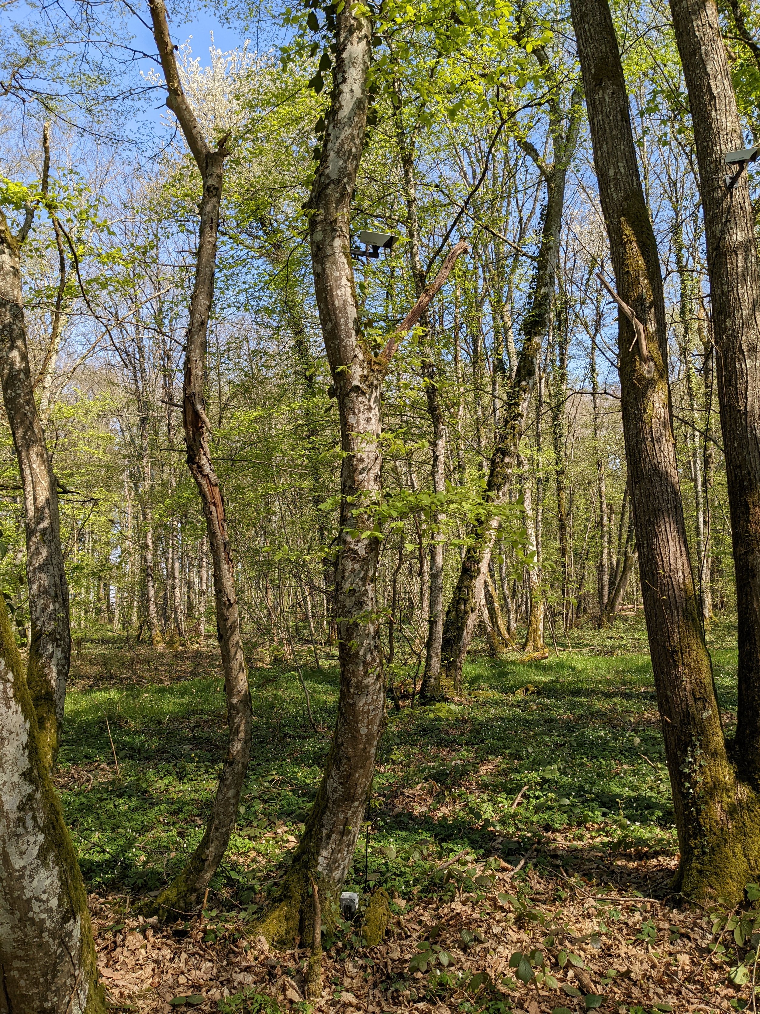 PXL_20220404_111349794.jpg