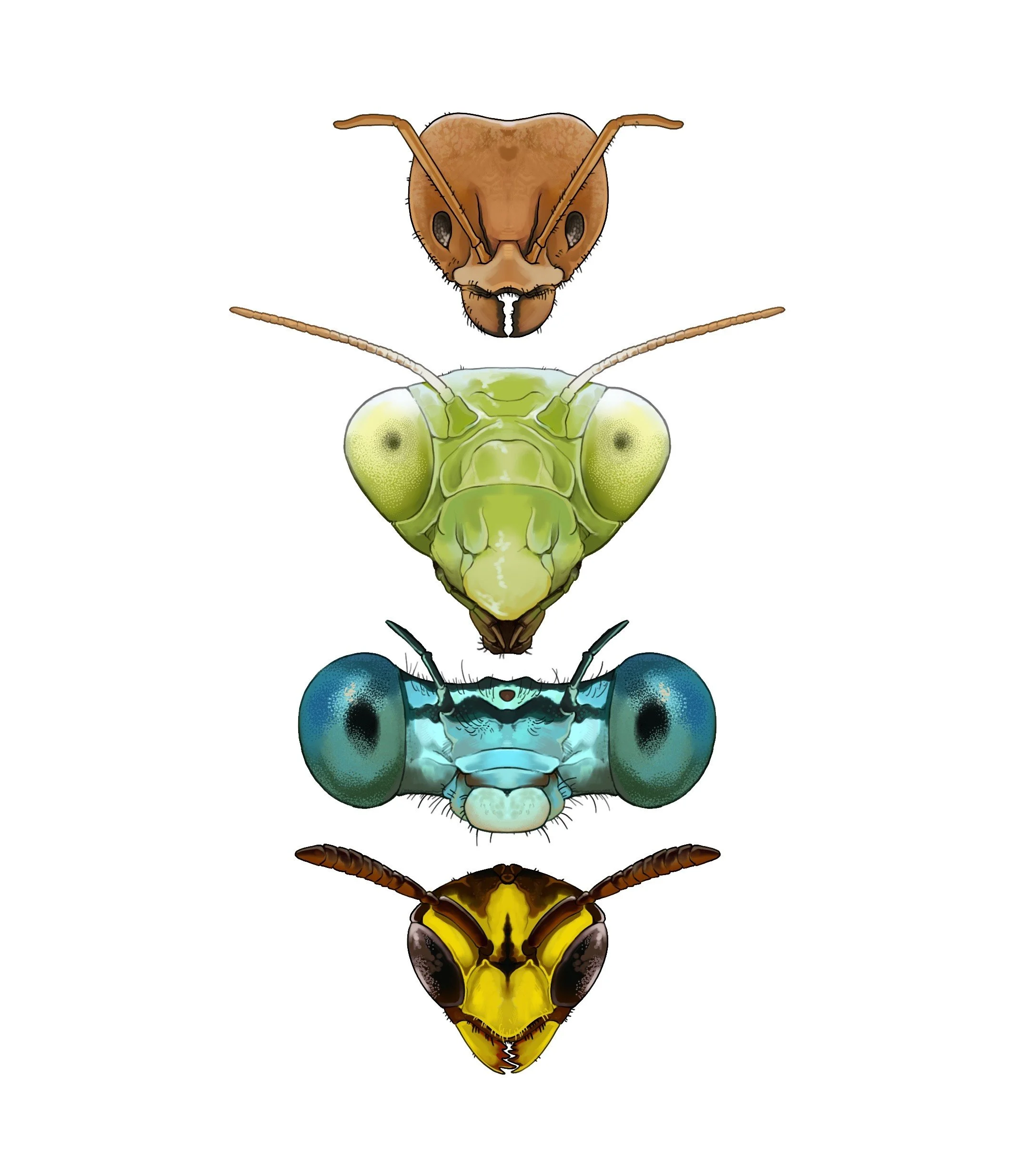invert-head-totem.jpg