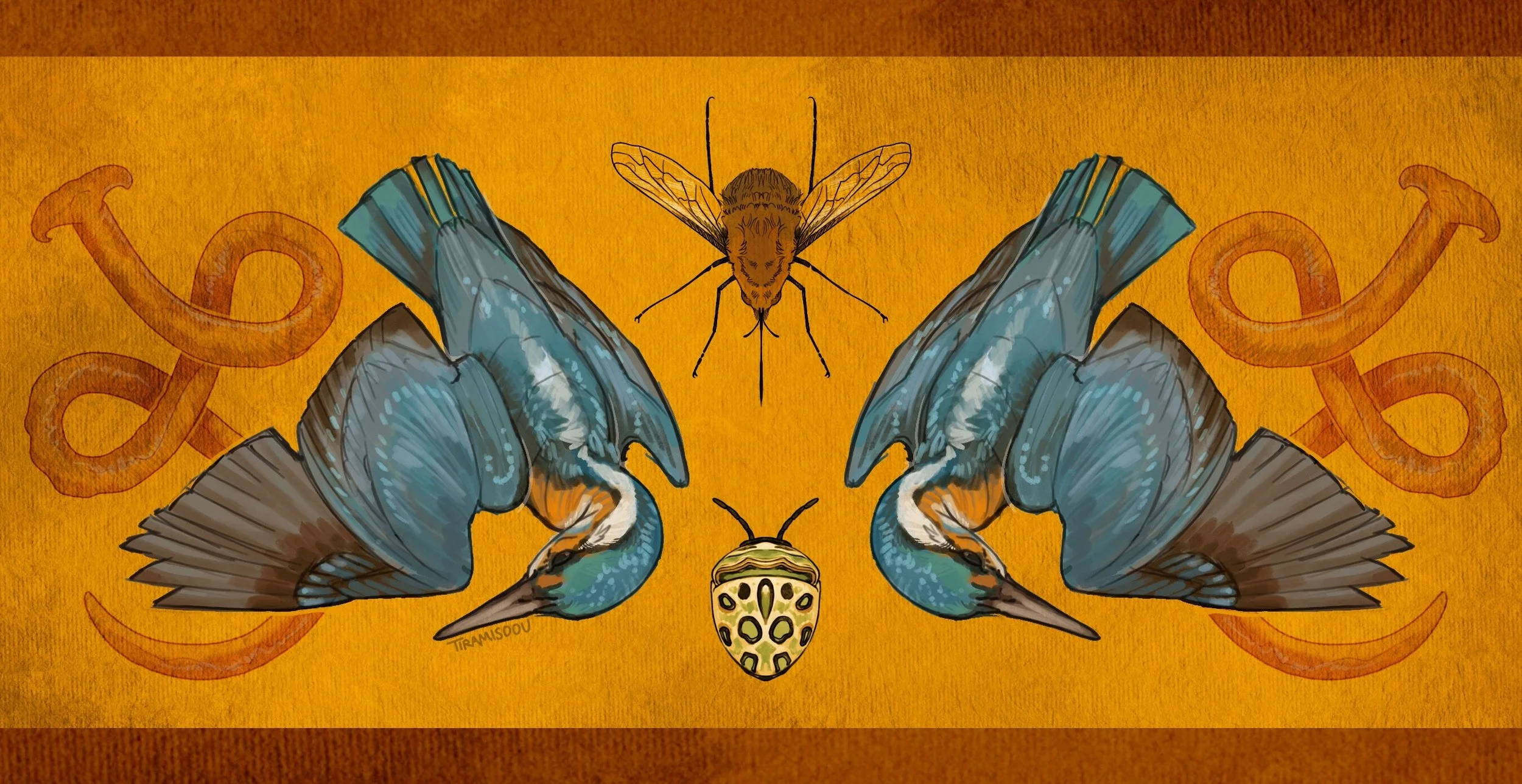 kingfisher-picassobeetle.jpg