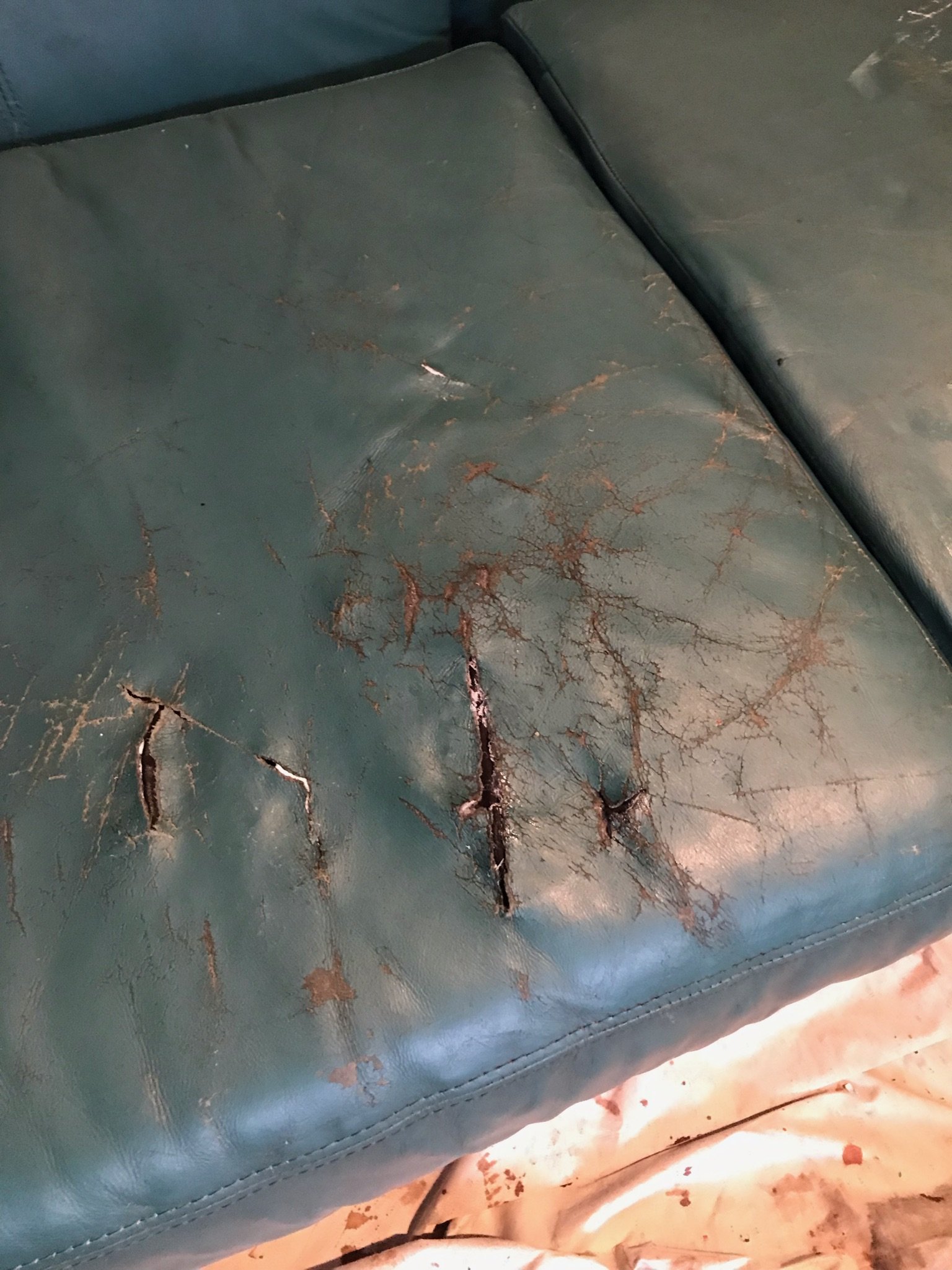 Heavy wear on sofa cushion in Wheaton, IL. Western suburbs of Chicago.  