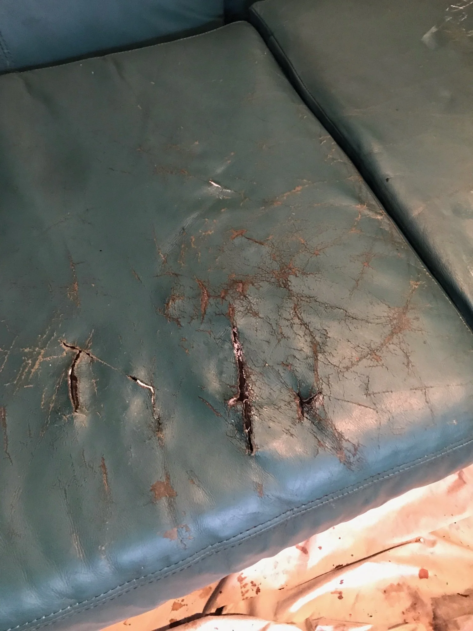 Before picture of couch. Years of pet damage have created deep scratches and holes in the seat of the leather. 