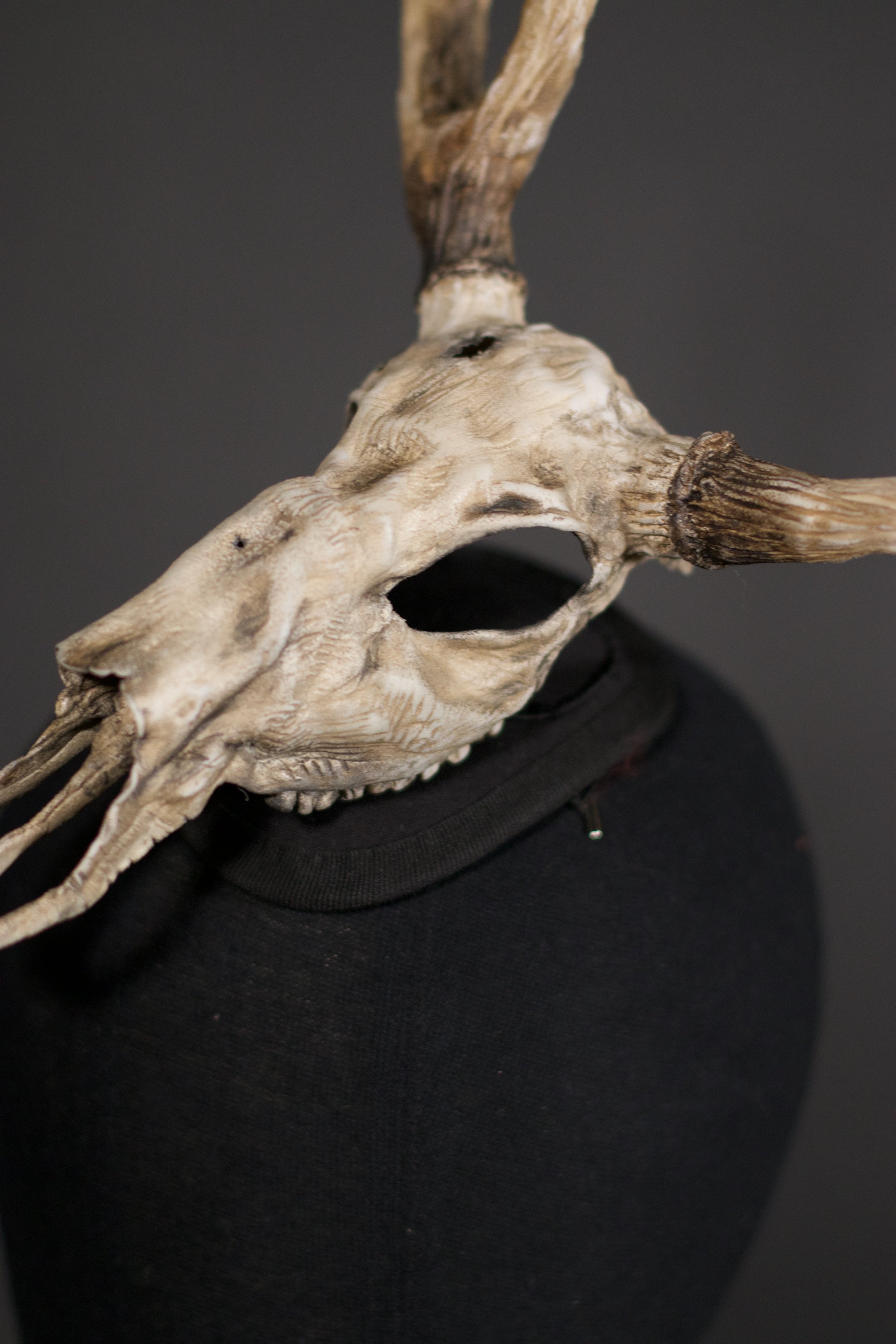 Skull Fascinator
Sculpted by
Isabella Rossi
2024