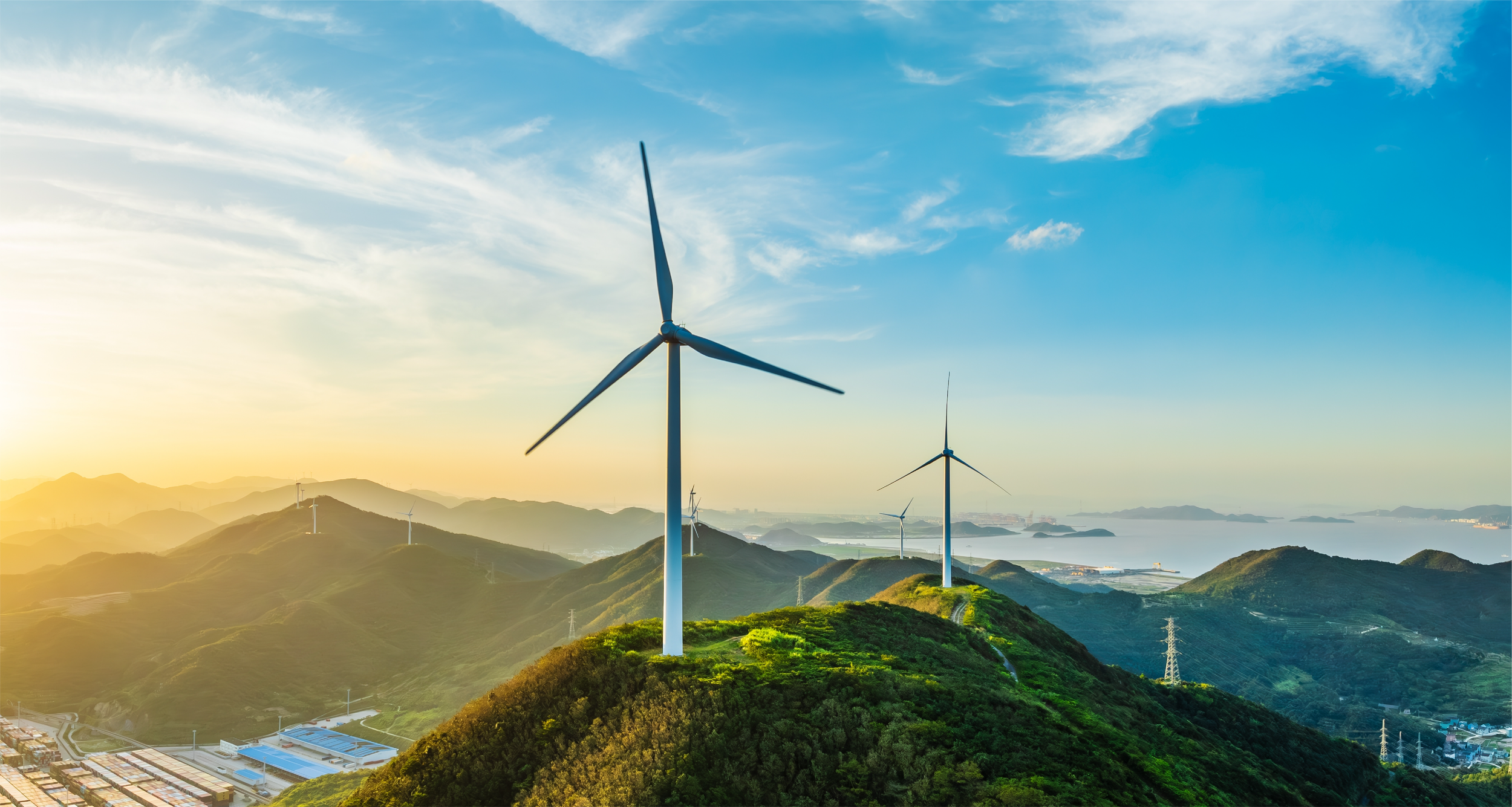 NP mockups_Image.png