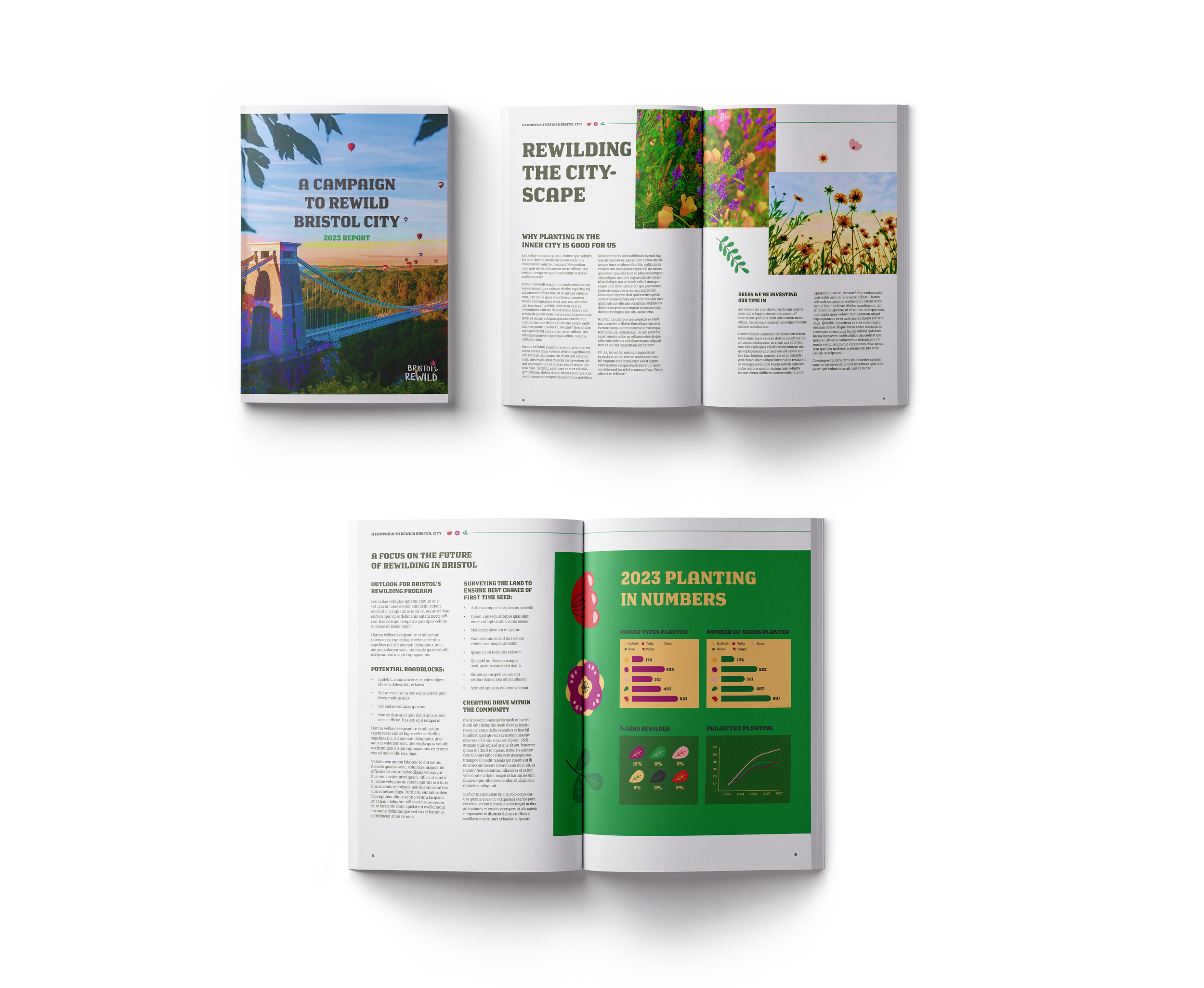 Bristol Rewild Branding.png