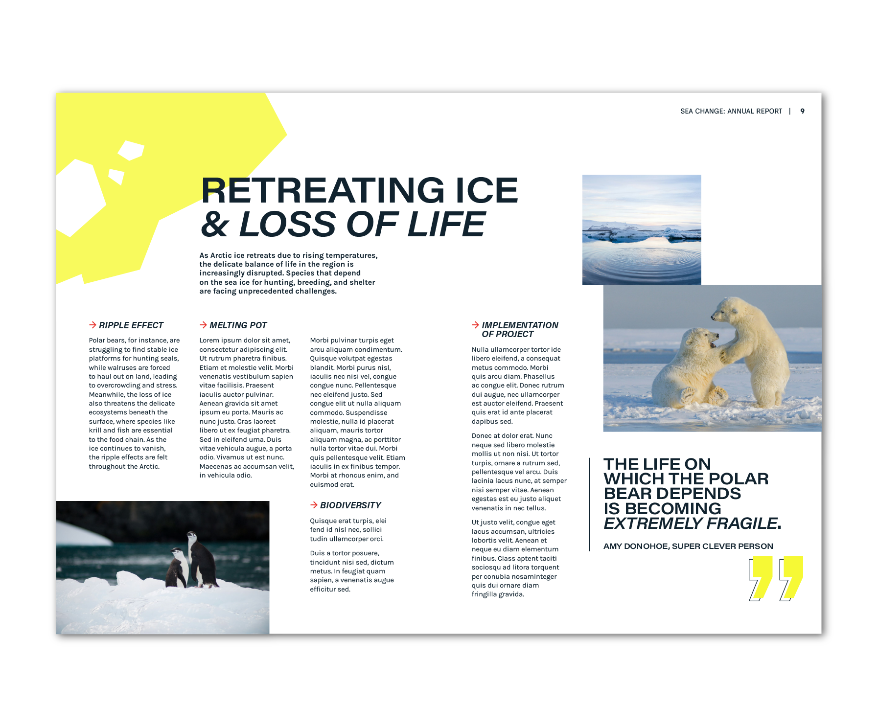 Sea Ice Report all pages-05.png