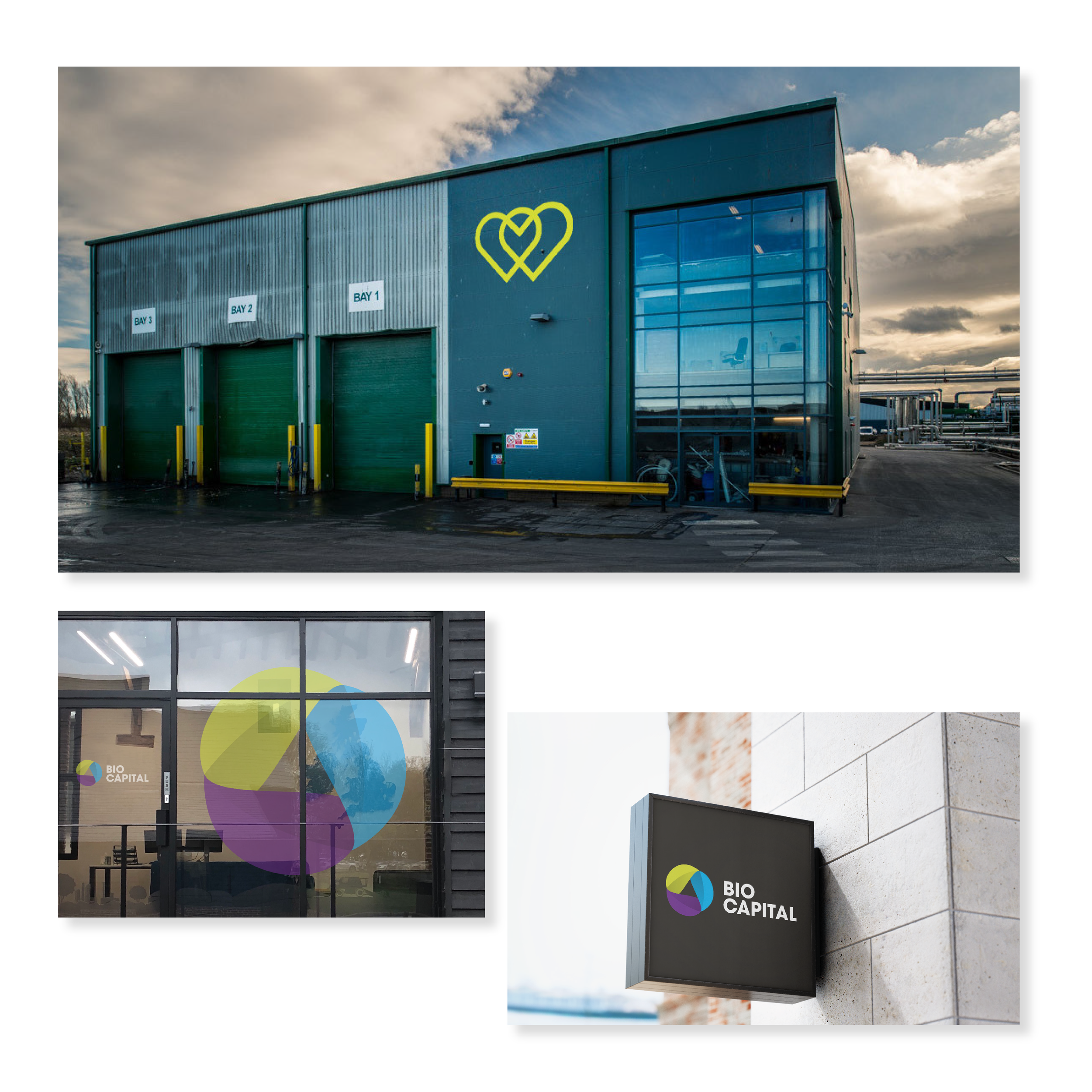 Bio capital Mockups_Window graphics.png