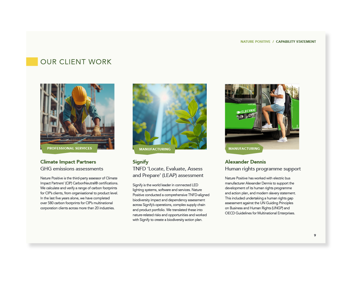 NP mockups-06.png