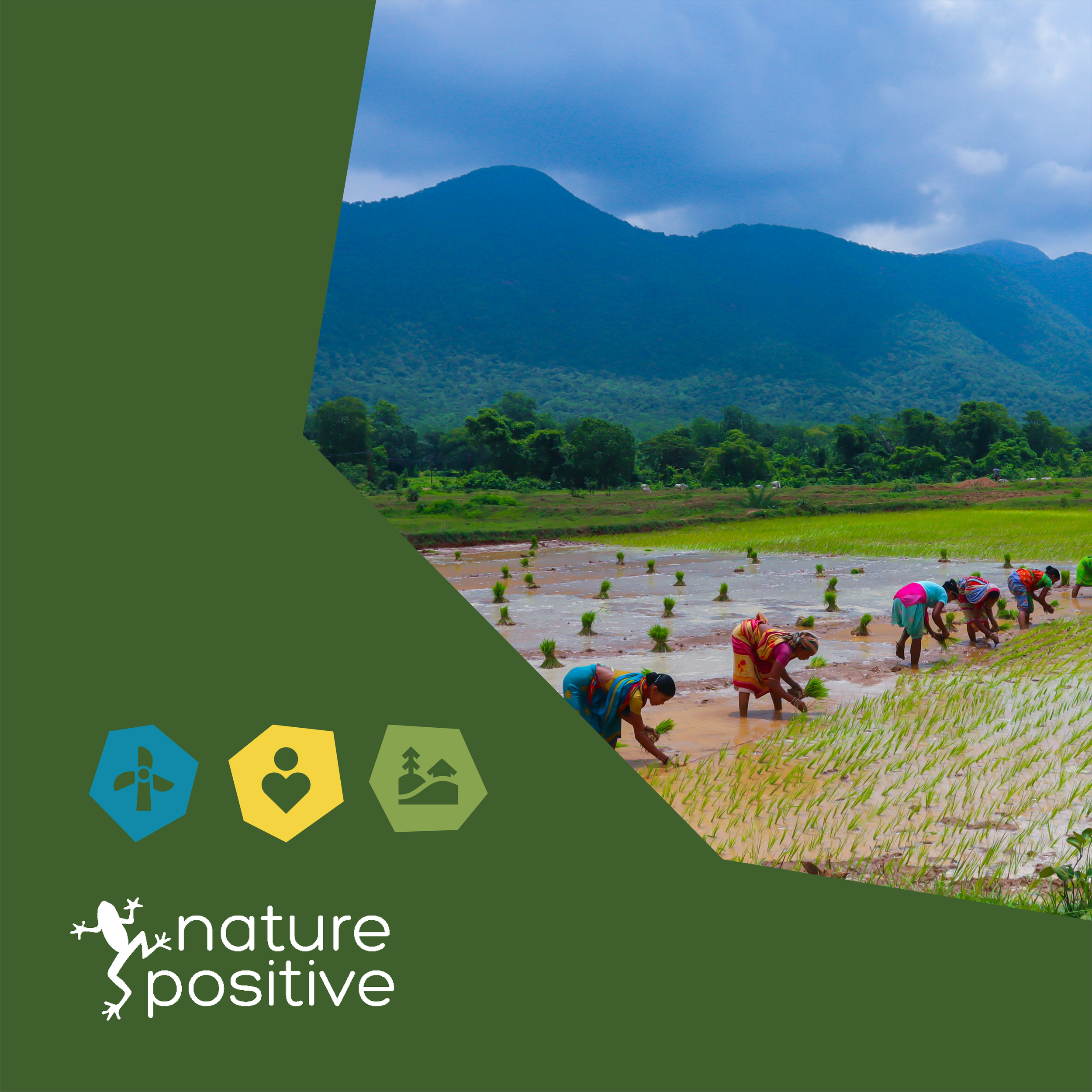 Nature Positive Capability Statement