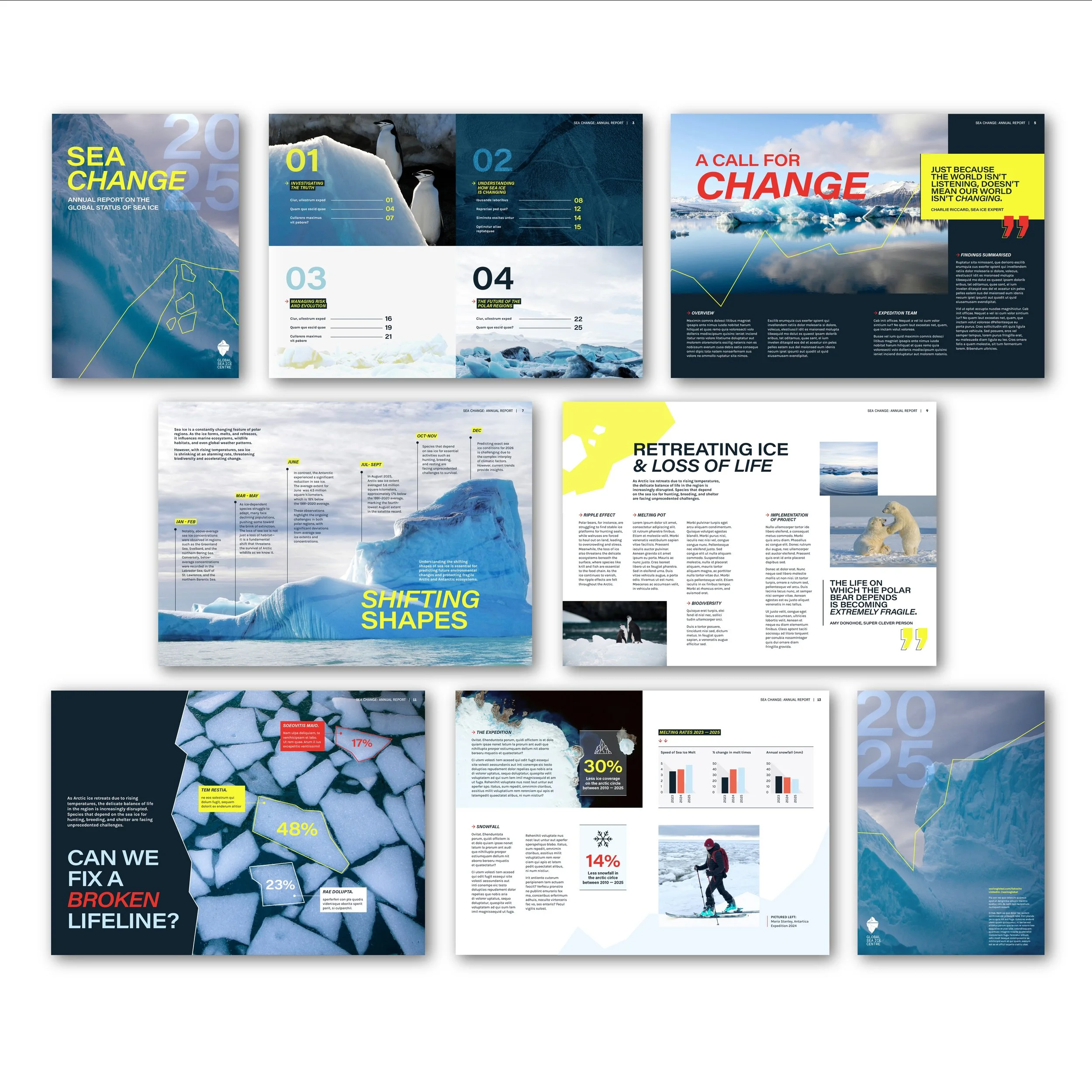 Sea Ice Mockups-01.jpg