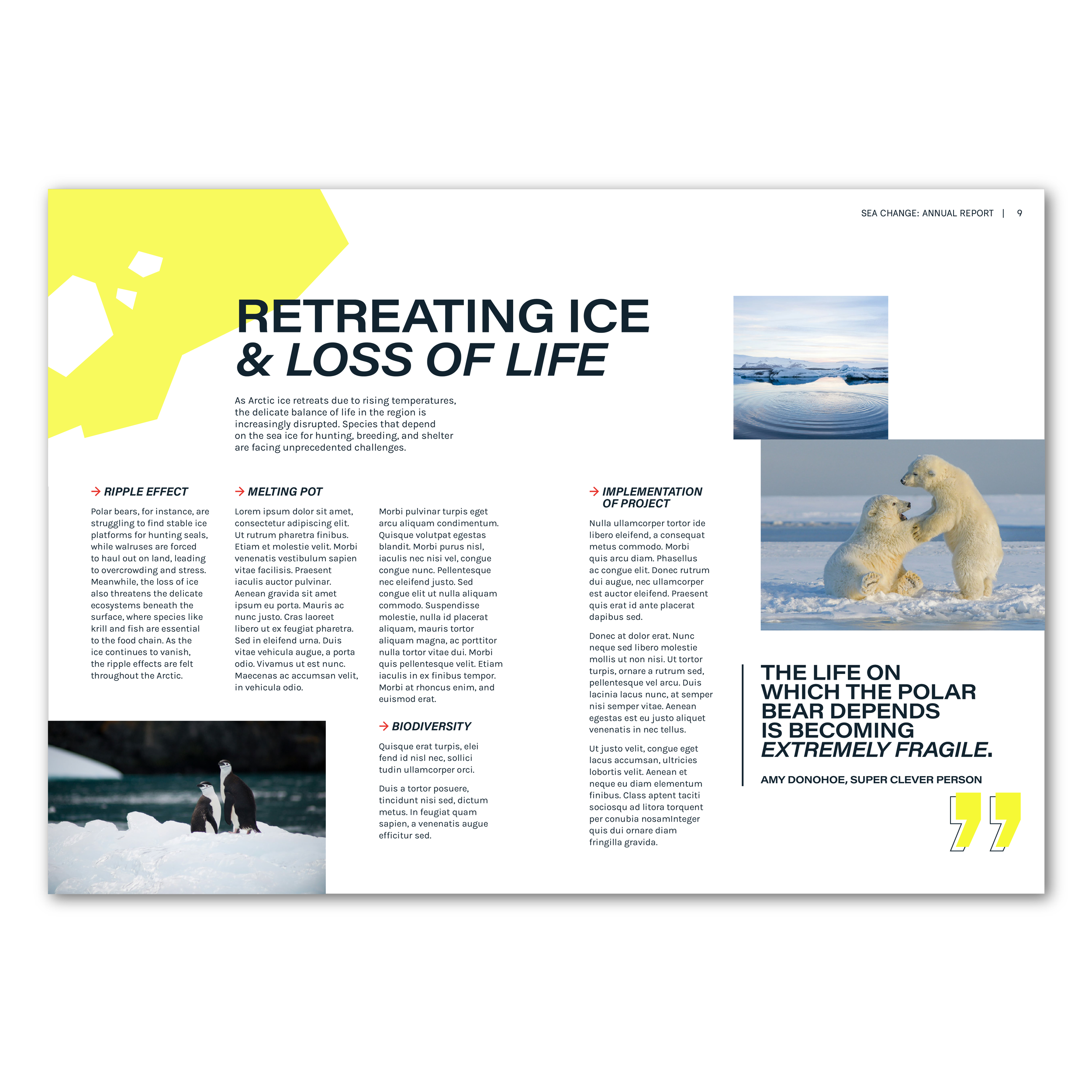 Sea Ice Mockups-04.png