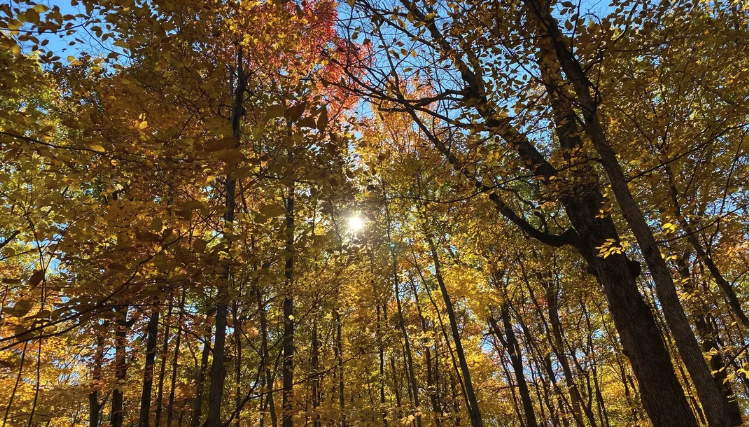 Ottawa’s “Hottest Neighbourhood”?